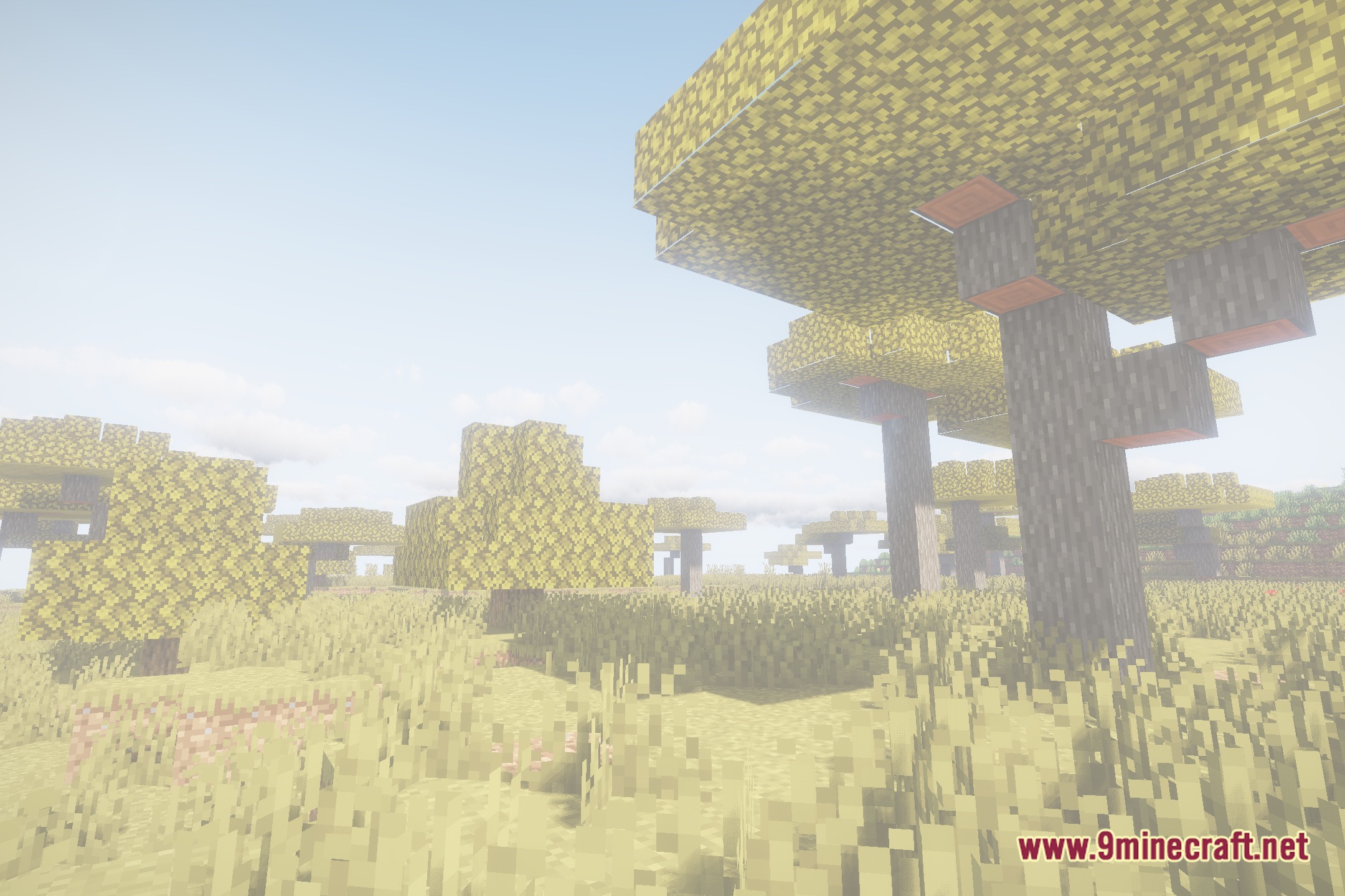 Focal Shaders Screenshot 10