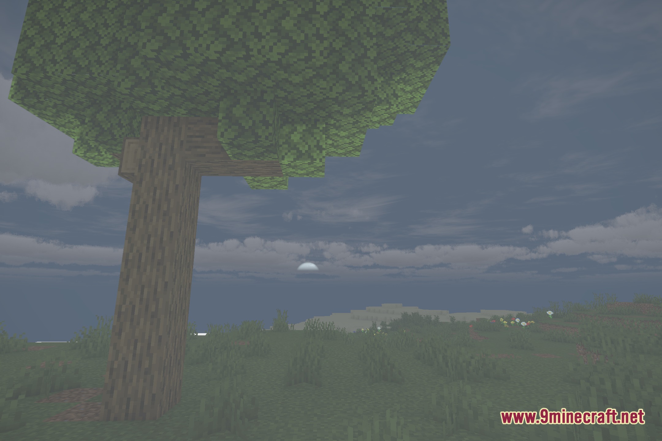 Focal Shaders Screenshot 4