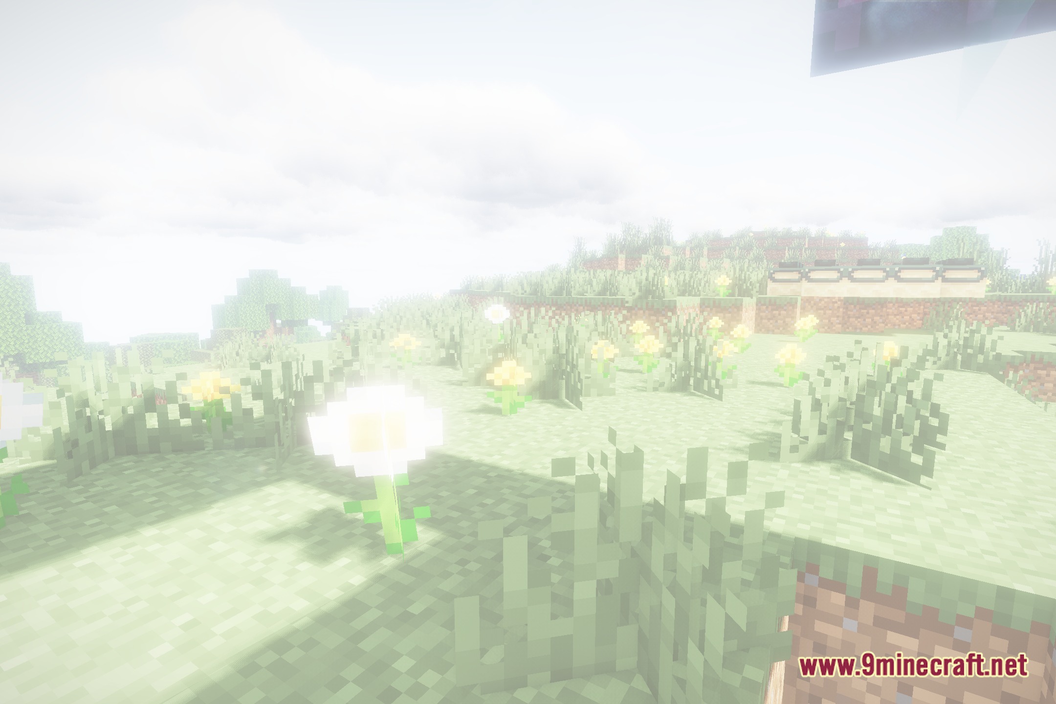 Focal Shaders Screenshot 5