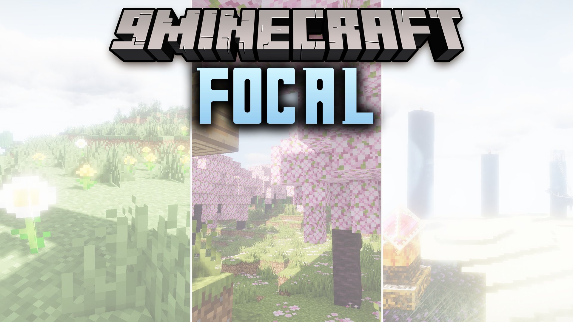 Focal Shaders
