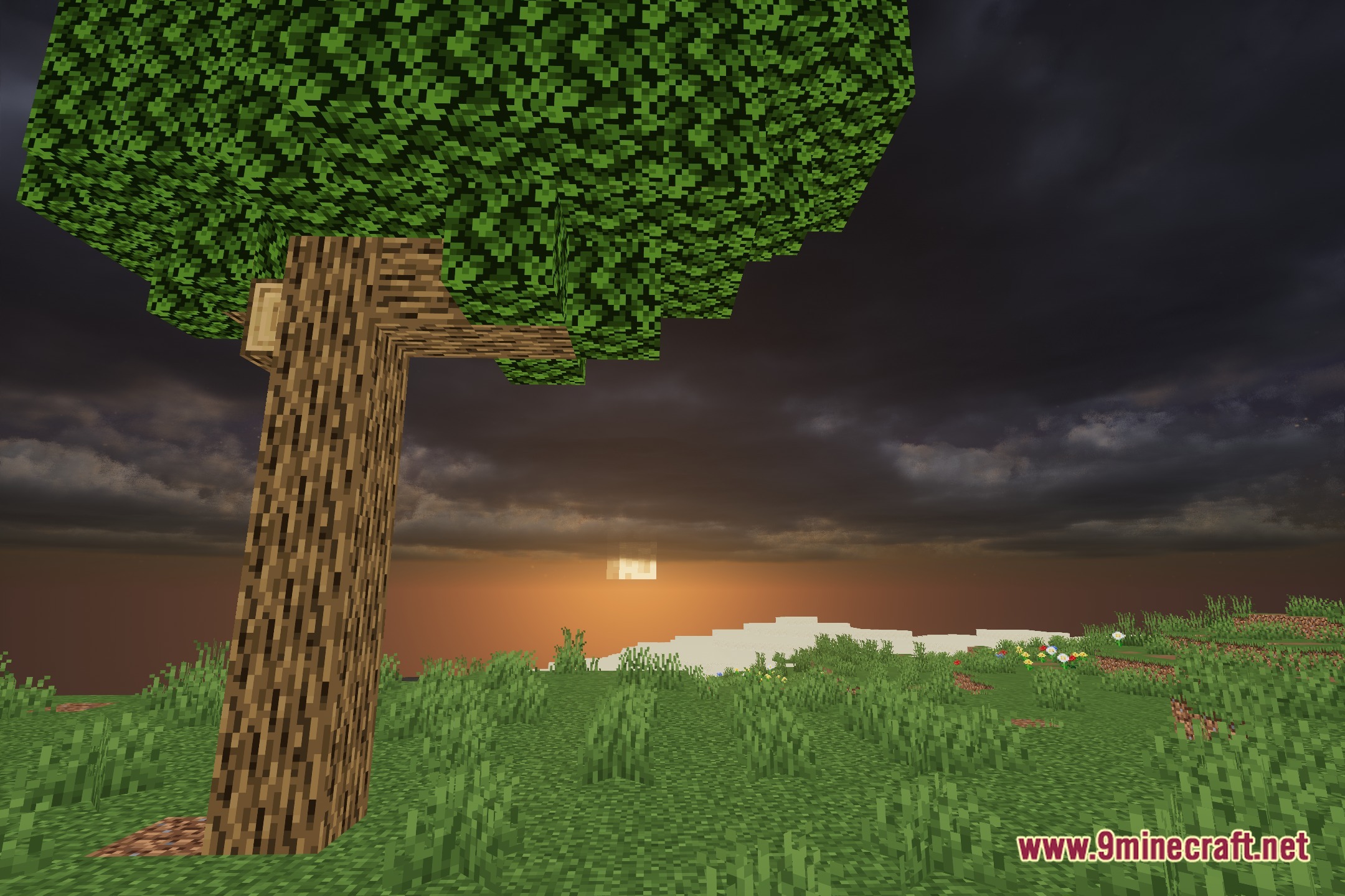 Foxy Shaders Screenshot 4