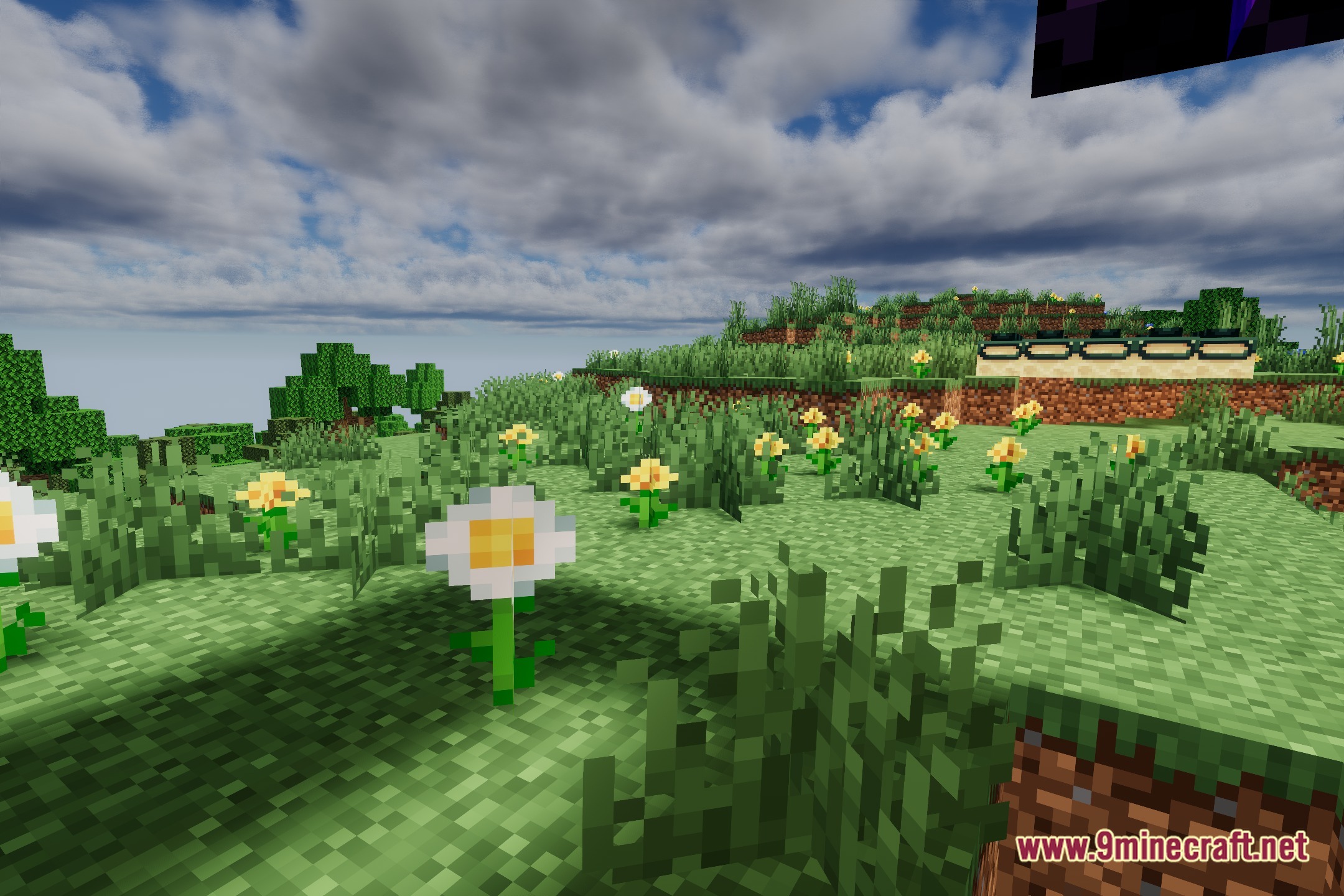 Foxy Shaders Screenshot 5