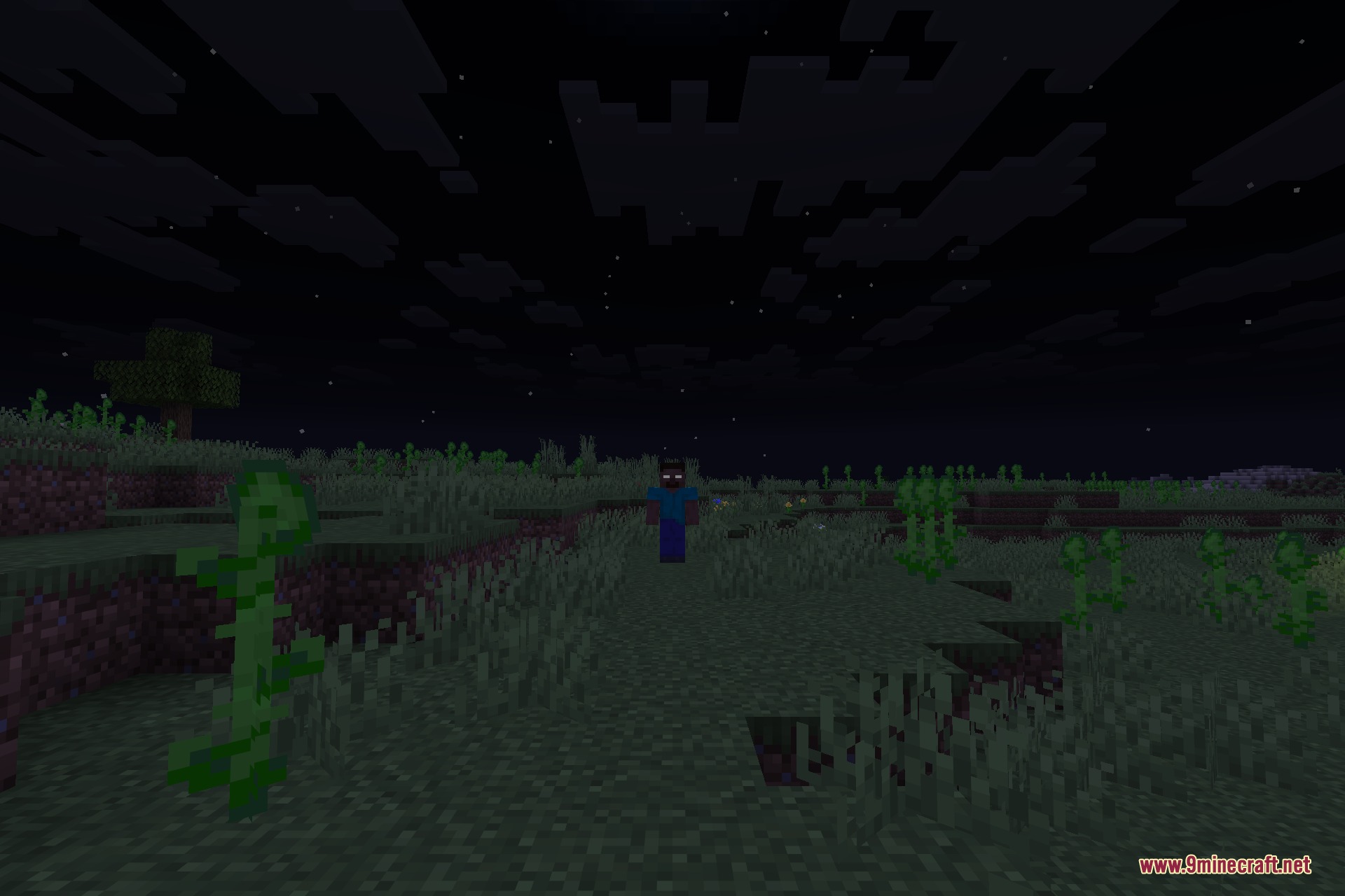 From the Fog 9minecraft Data Pack Screenshot 1 A mysterious figure with glowing white eyes stands in a distant dark field