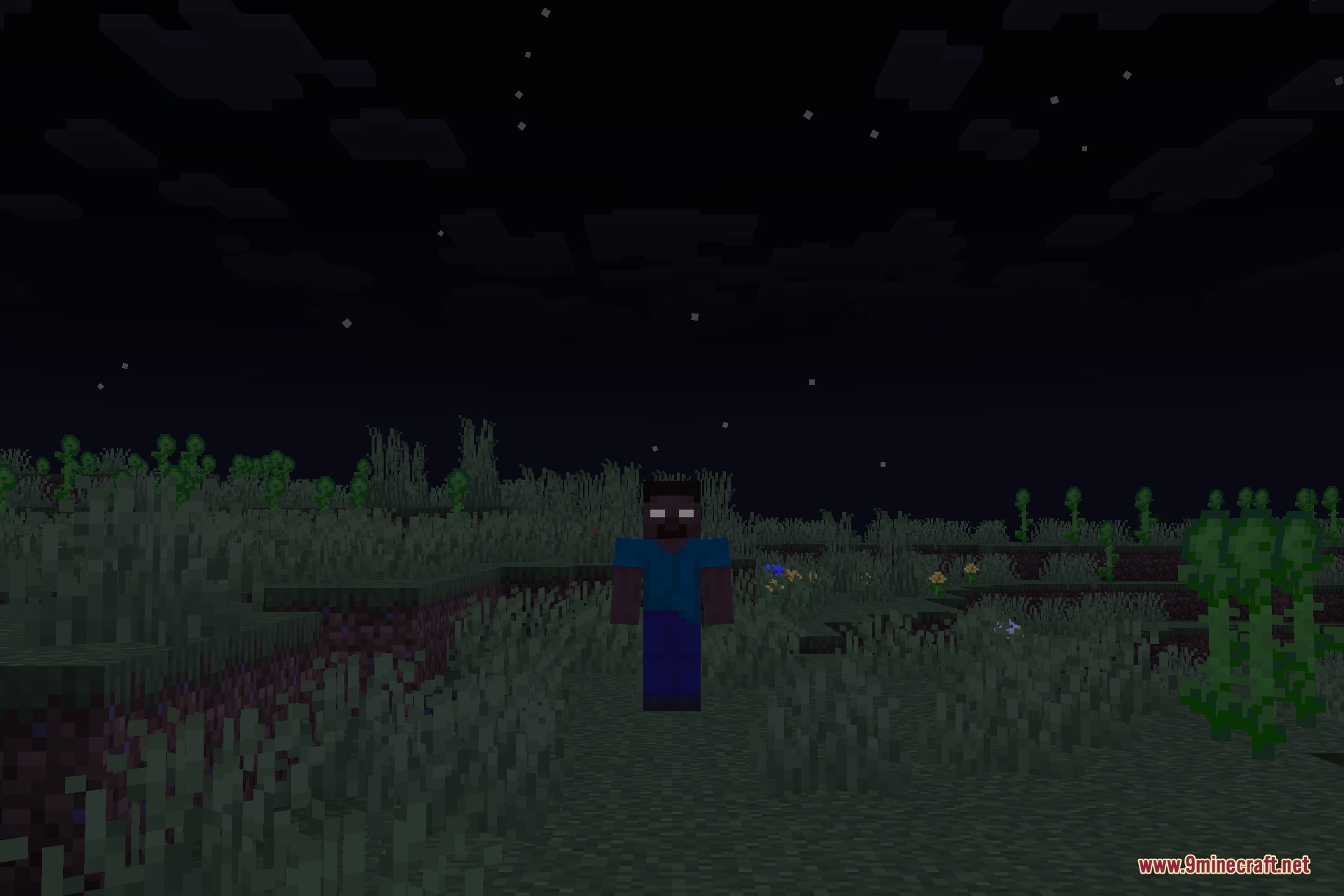 From the Fog 9minecraft Data Pack Screenshot 2 Herobrine stands still in a grassy field under the dark night sky