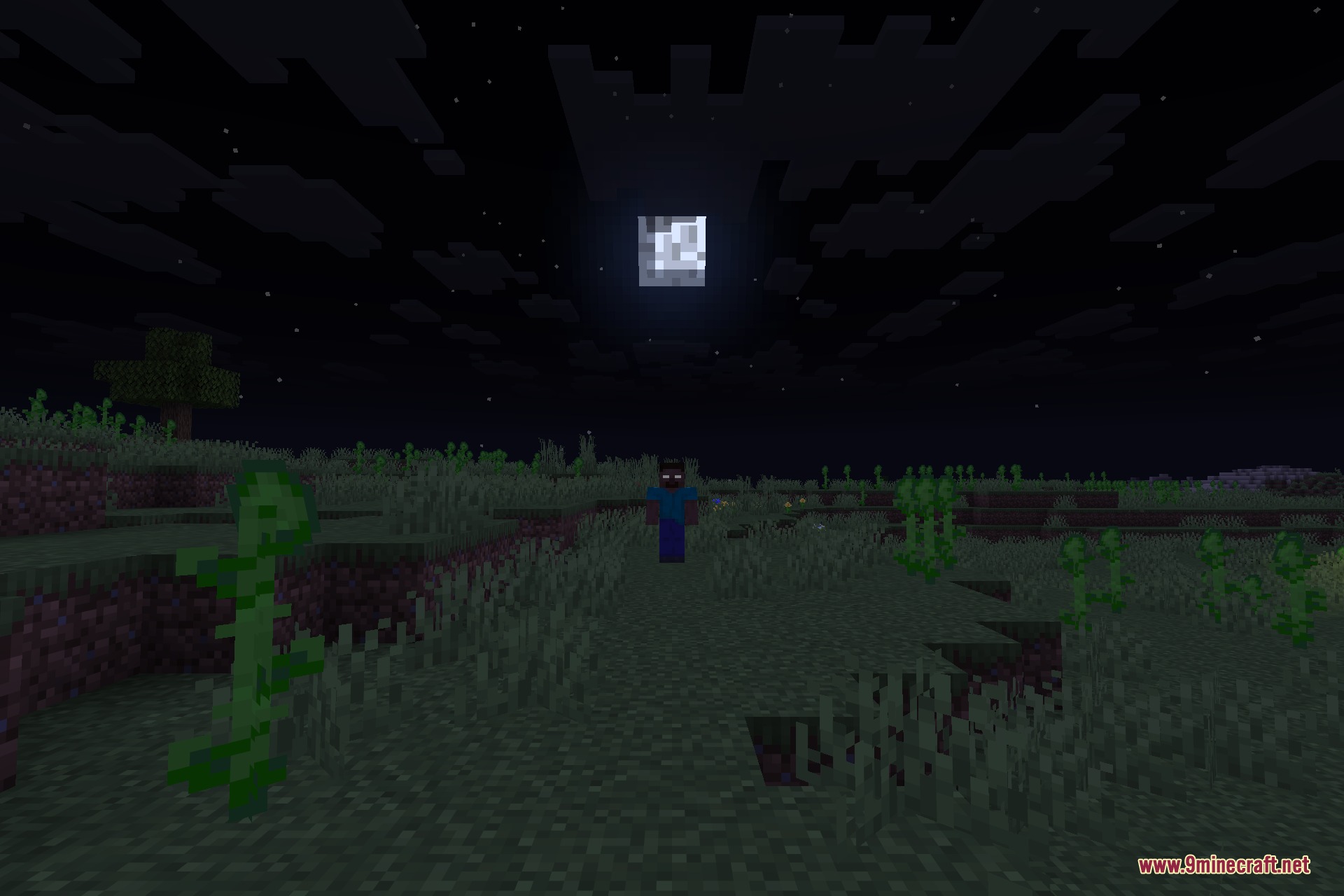 From the Fog 9minecraft Data Pack Screenshot 3 A mysterious figure with glowing eyes stands in a dark field at night