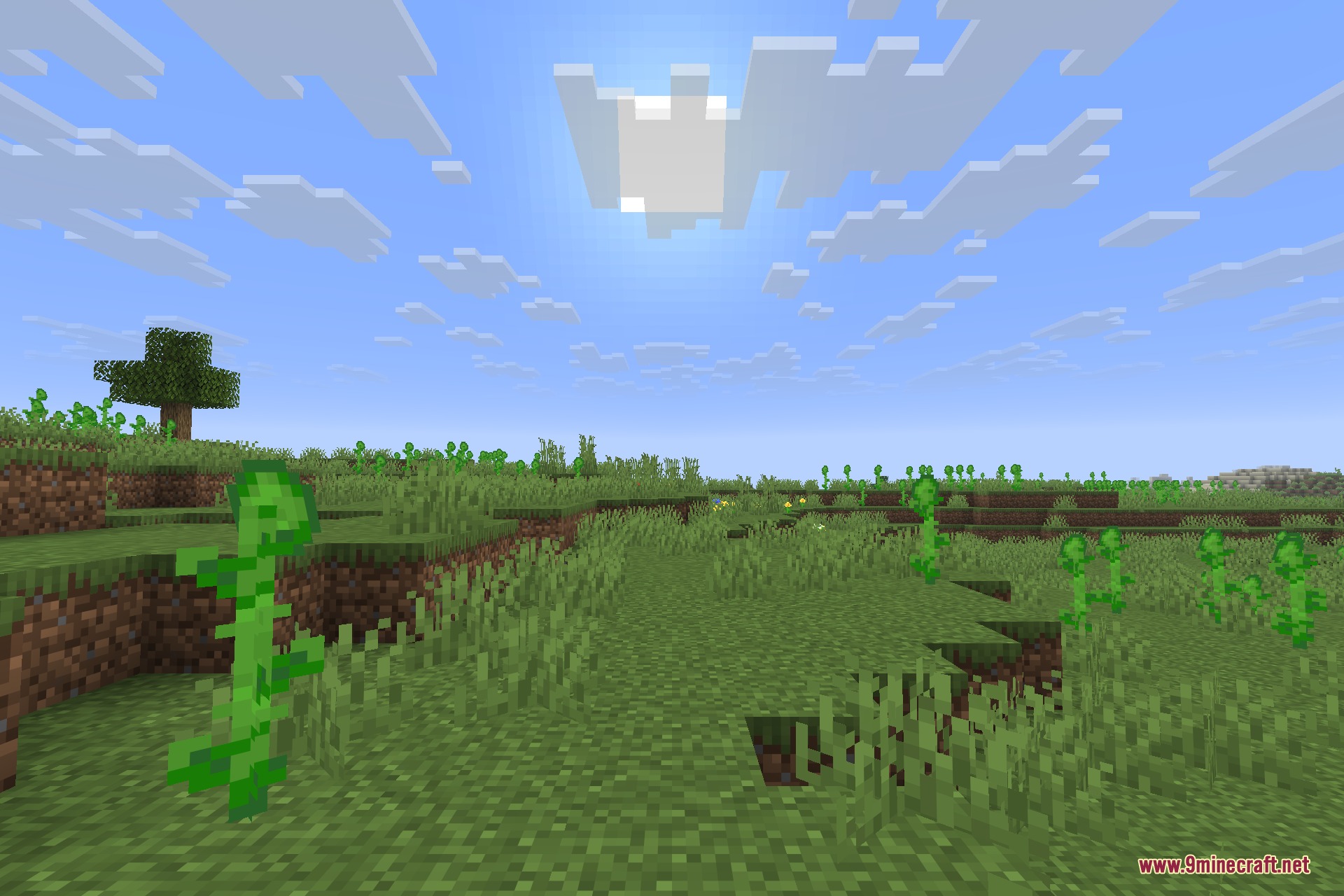 From the Fog 9minecraft Data Pack Screenshot 4 The same grassy field during the day with no mysterious figure visible