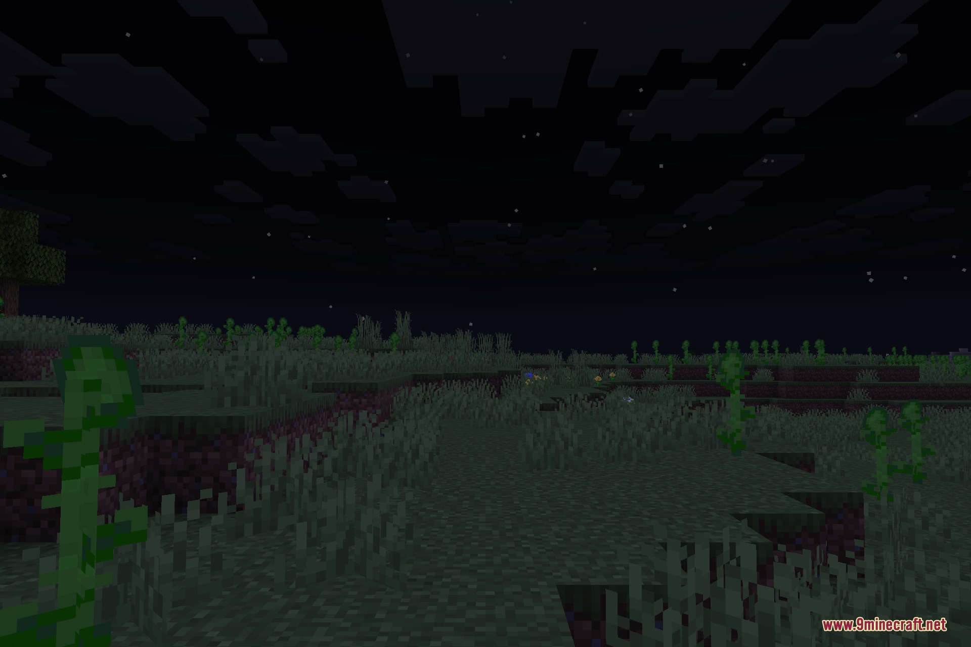 From the Fog 9minecraft Data Pack Screenshot 5 Mysterious glowing eyes watch from the darkness of a grassy field at night