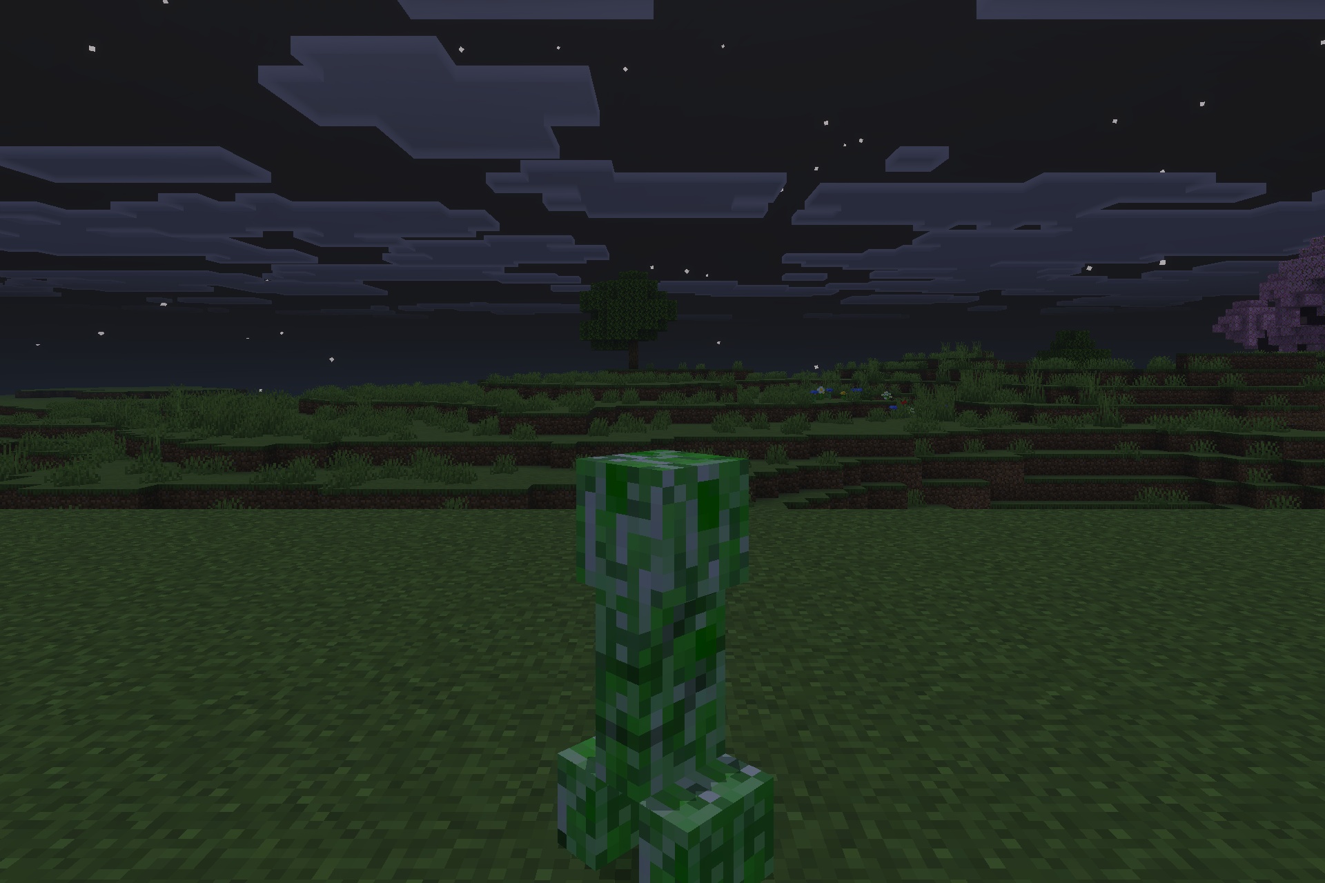 A creeper stands in a grassy field under a clear dark night sky