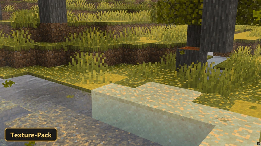 yellow grass and trees beside a river with clear water
