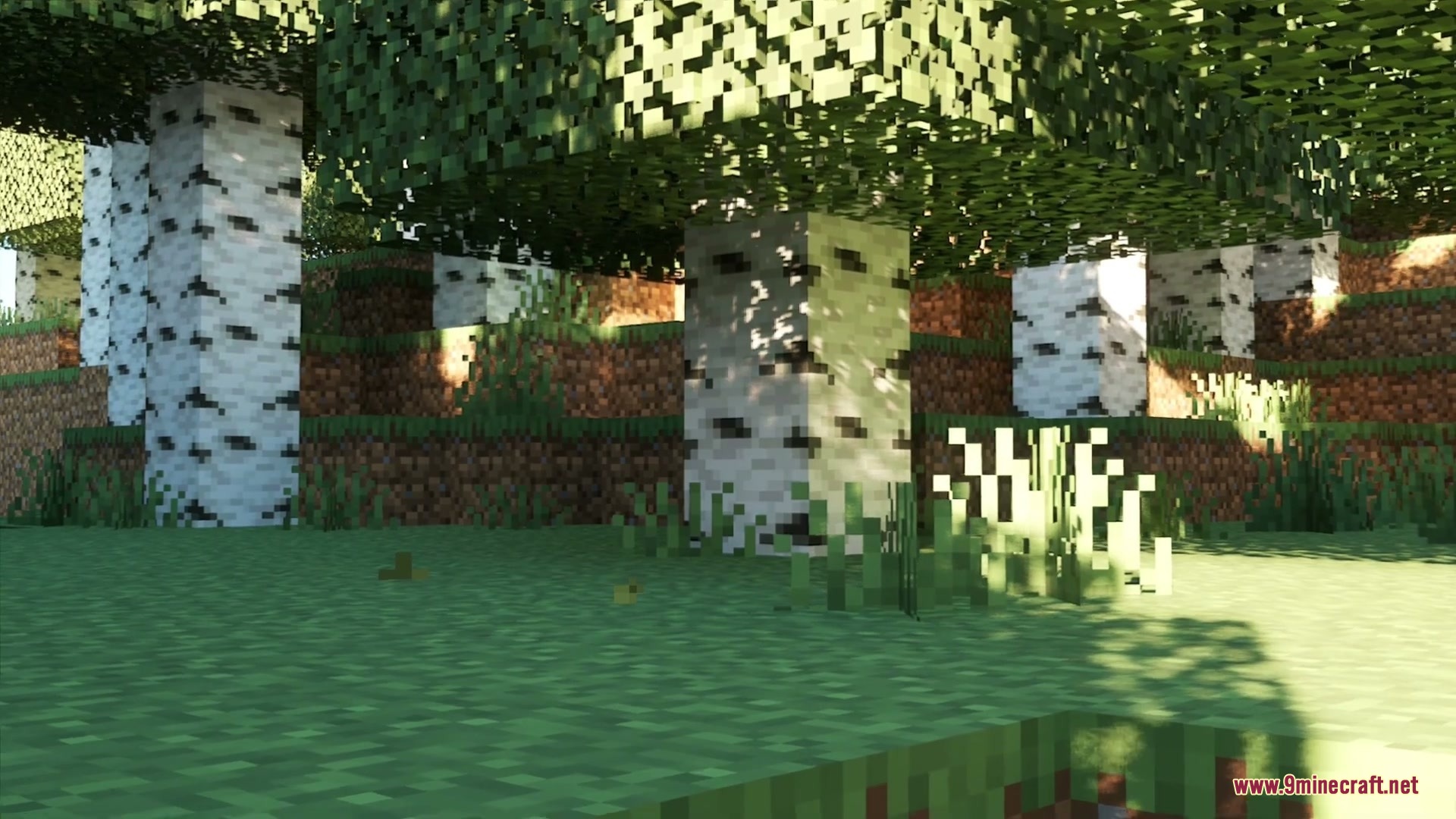Fused's Falling Leaves Addon- the Final Update Addon Screenshot 3