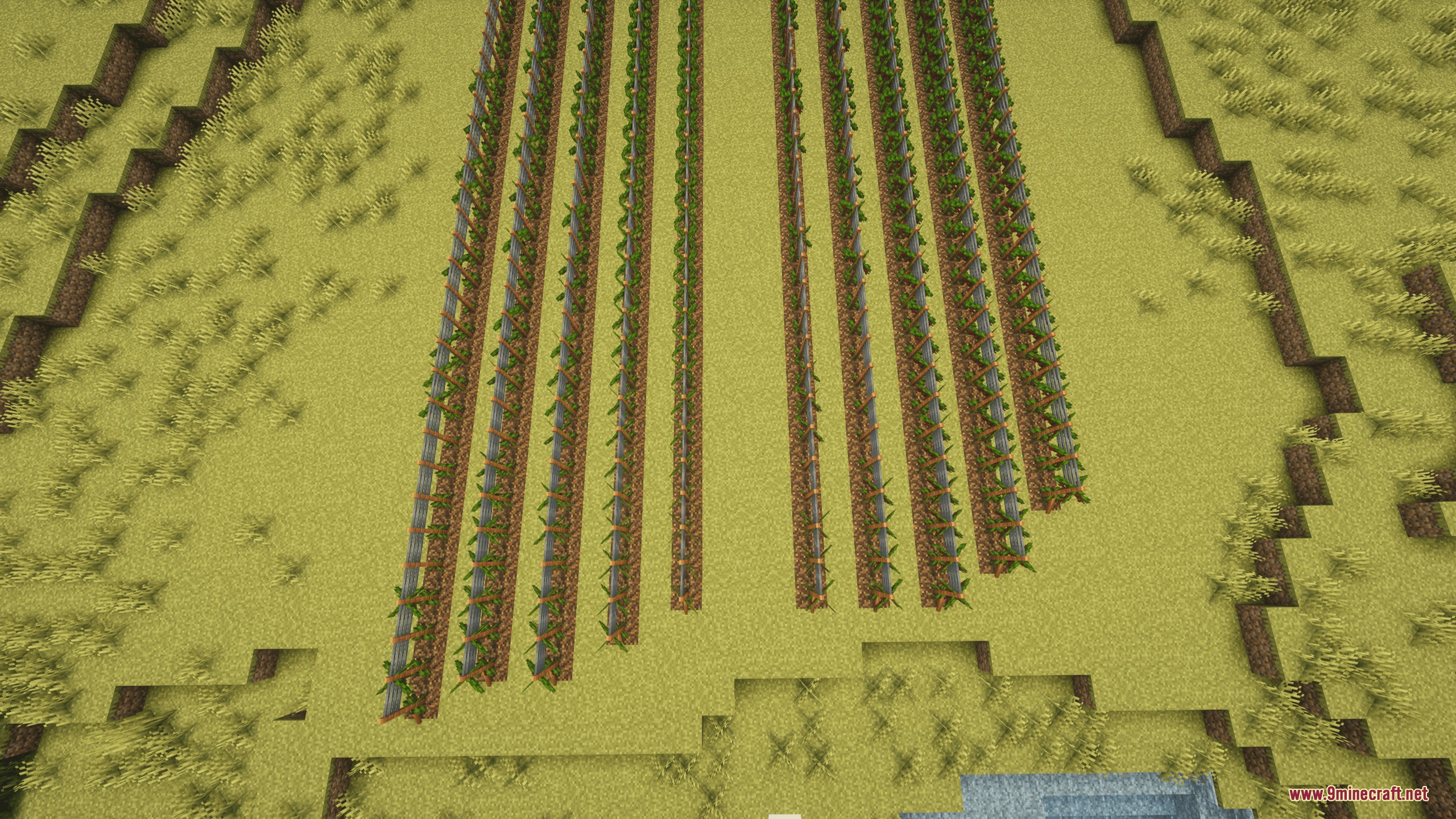 Gilded Grape Harvest Mod Screenshot 4 Aerial view of long vineyard rows planted in a large open field