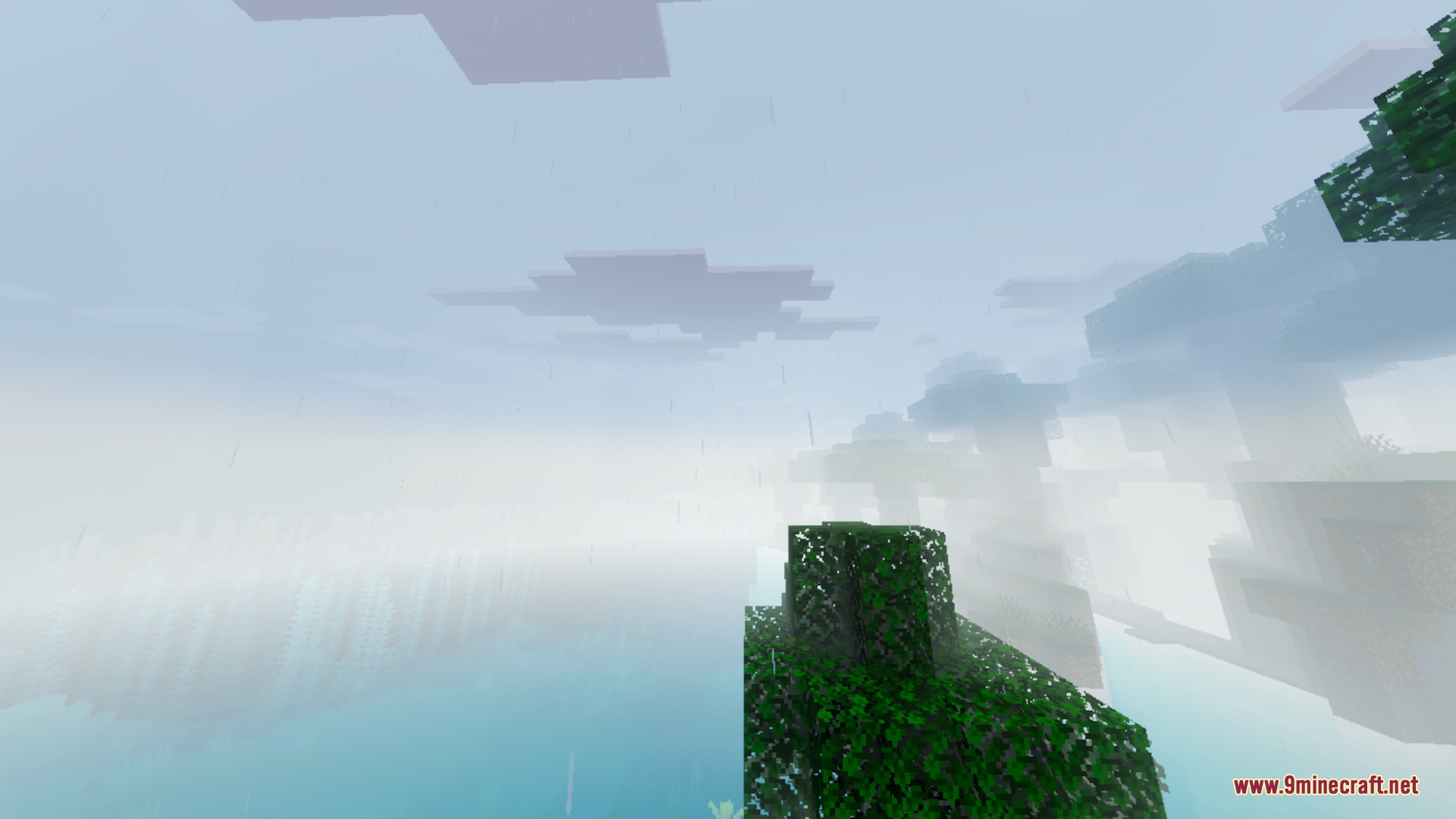 Glacier Visuals Shader Screenshot 1 Heavy rain droplets and misty fog surround a leafy tree in the forest