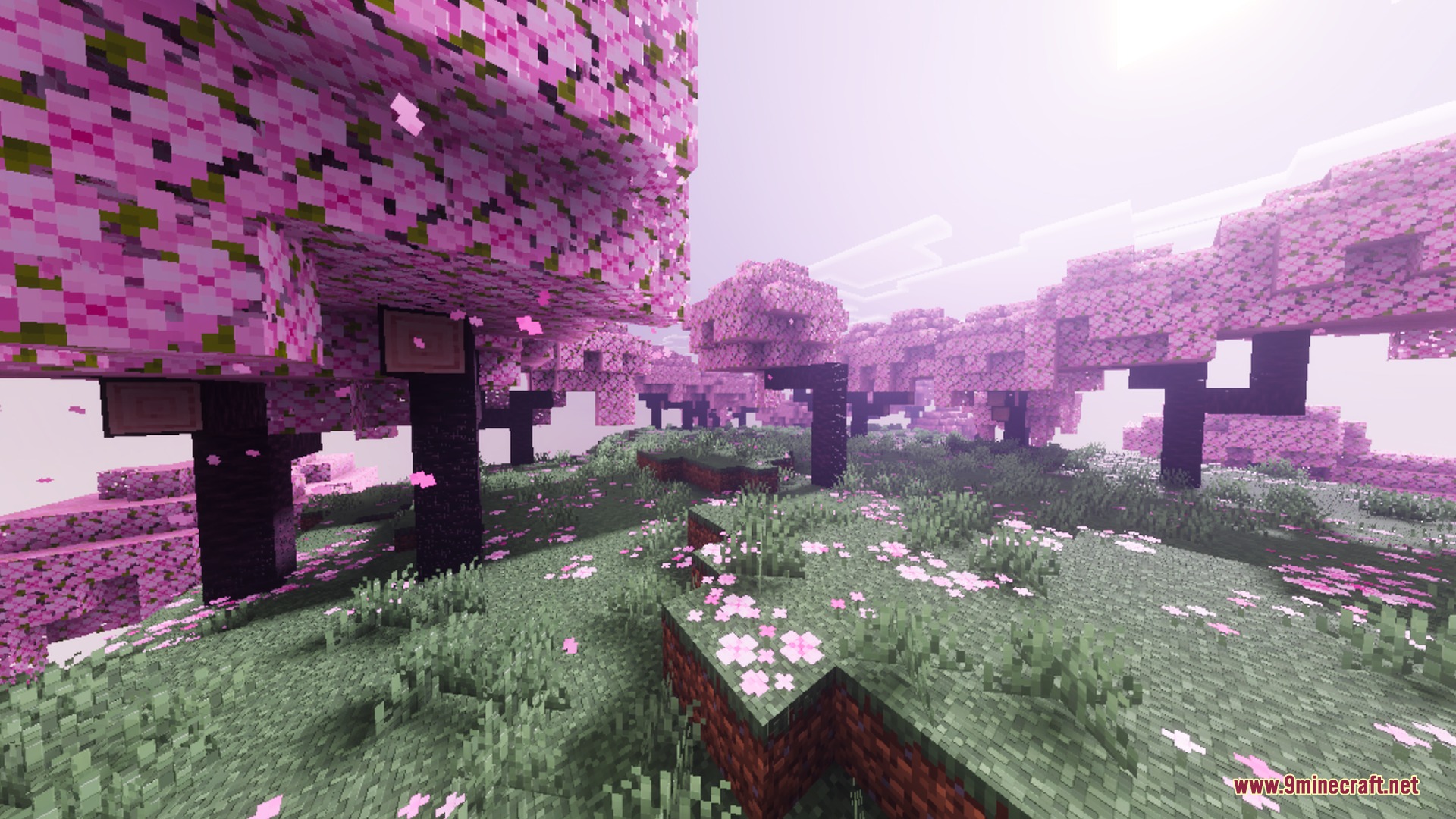 Glacier Visuals Shader Screenshot 6 Misty cherry grove biome with pink blossoms under soft purple lighting effects