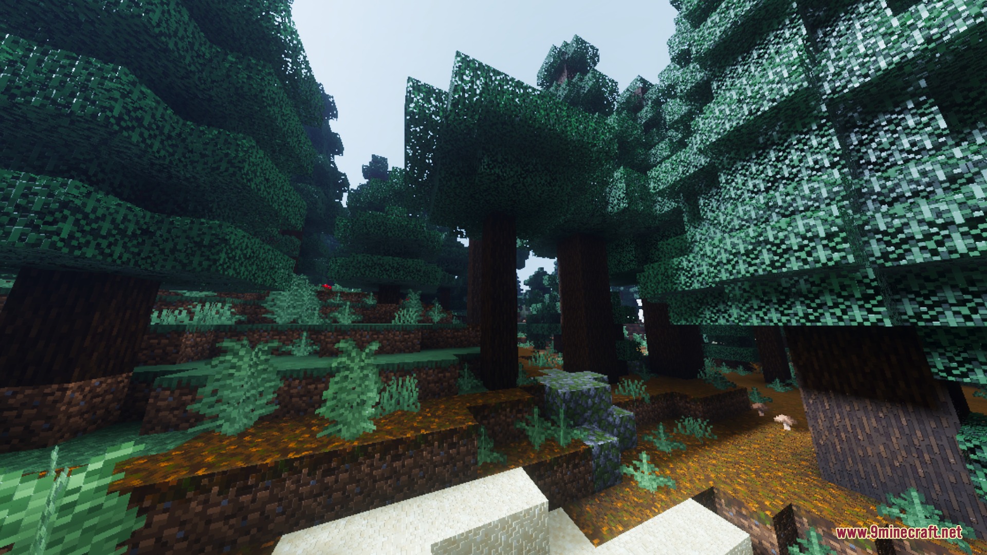 Glacier Visuals Shader Screenshot 8 A dense spruce forest with tall trees and cool atmospheric lighting effects