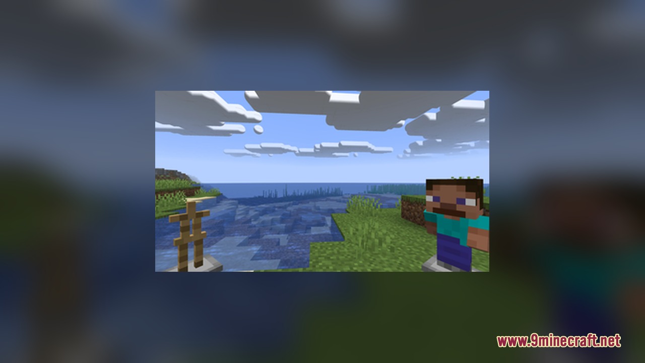 A wooden armor stand and a Steve NPC model standing near the ocean