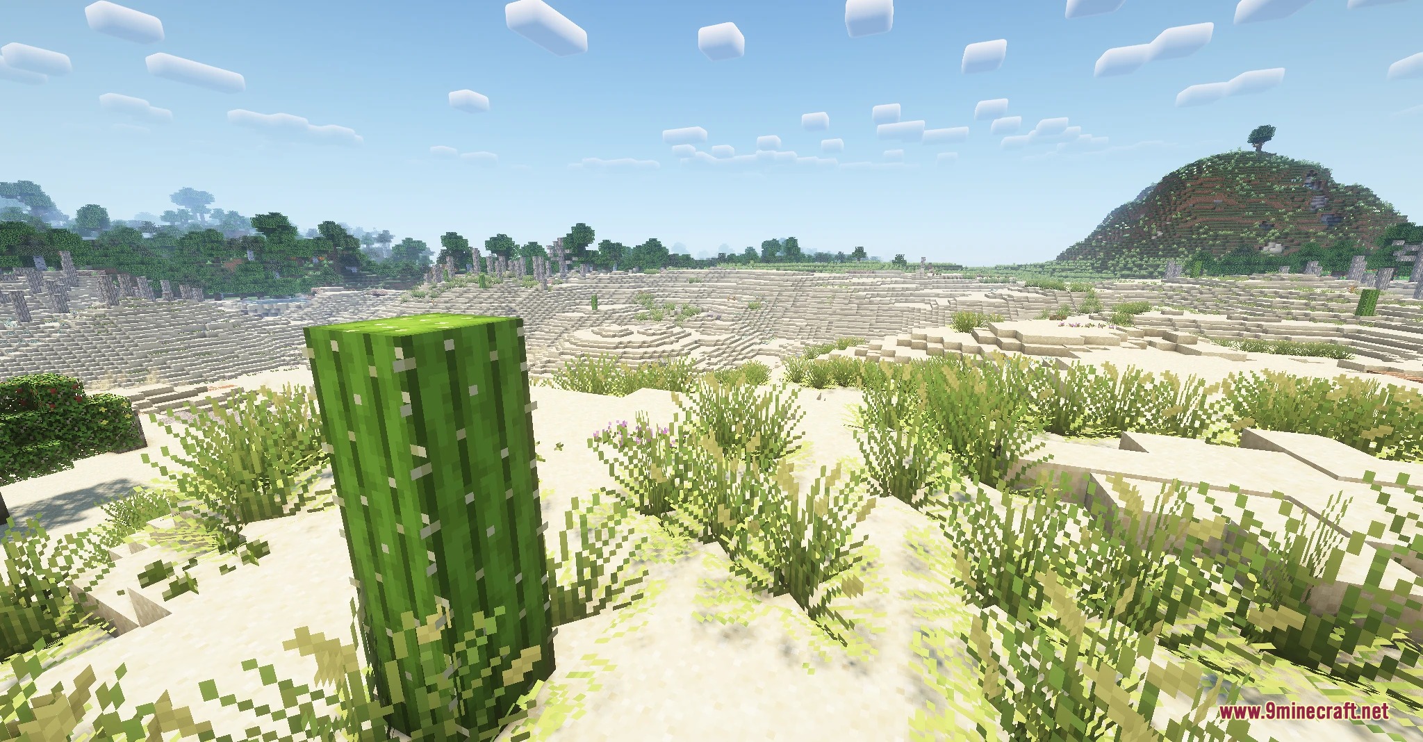 Golden Dune Purge Mod Screenshot 2 A green cactus and fountain grasses overlooking a vast expanding desert landscape