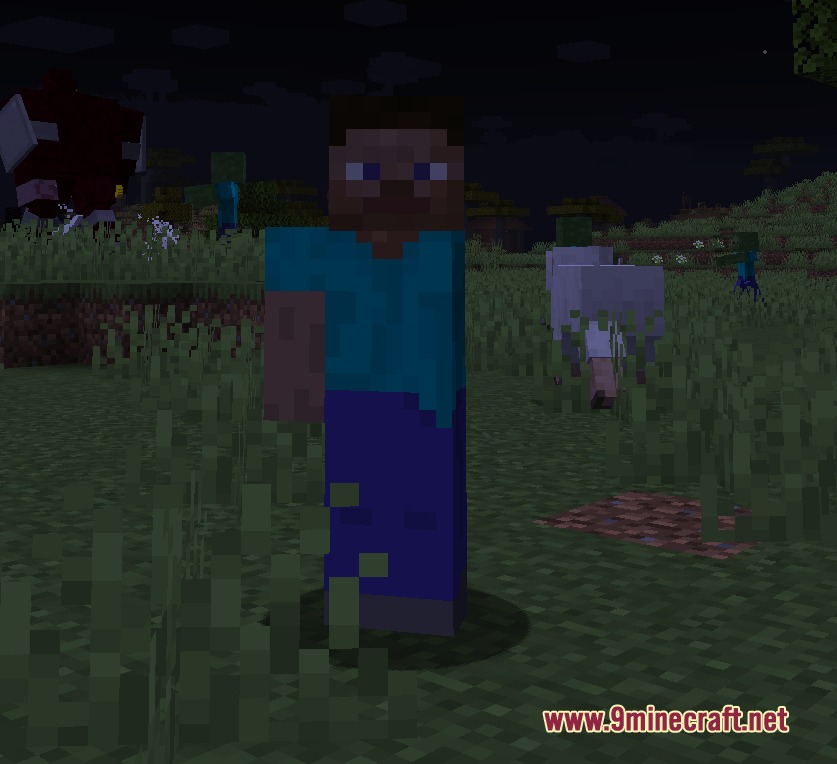 Grand Line Authenticity Mod Screenshot 4 Player character standing in a dark field with mobs in the background