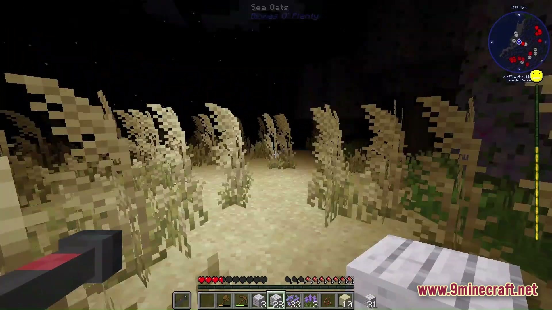 Grimsoul Unleashed Modpack Screenshot 6 A first-person view of a player standing among sea oats in a dark Minecraft biome