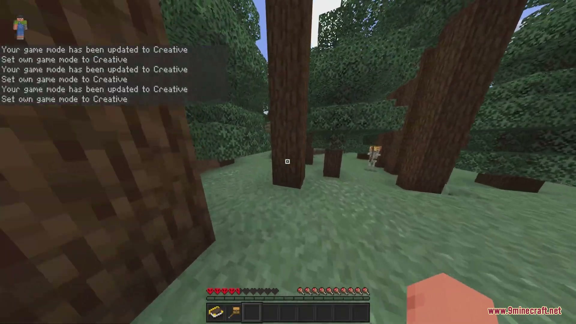 Hardcore Cheater Addon Screenshot 12