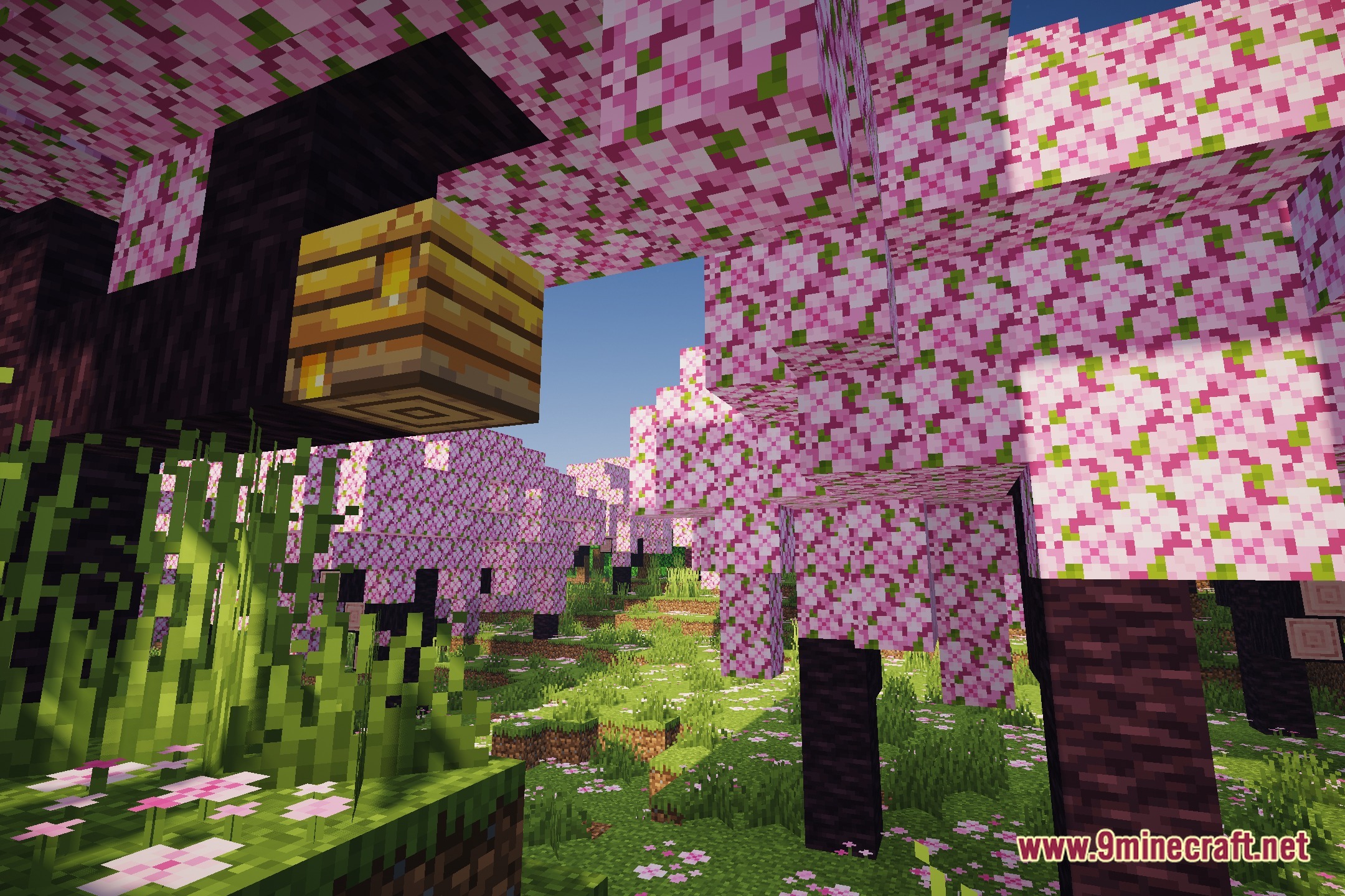 HighFramesExtra Shaders Screenshot 1