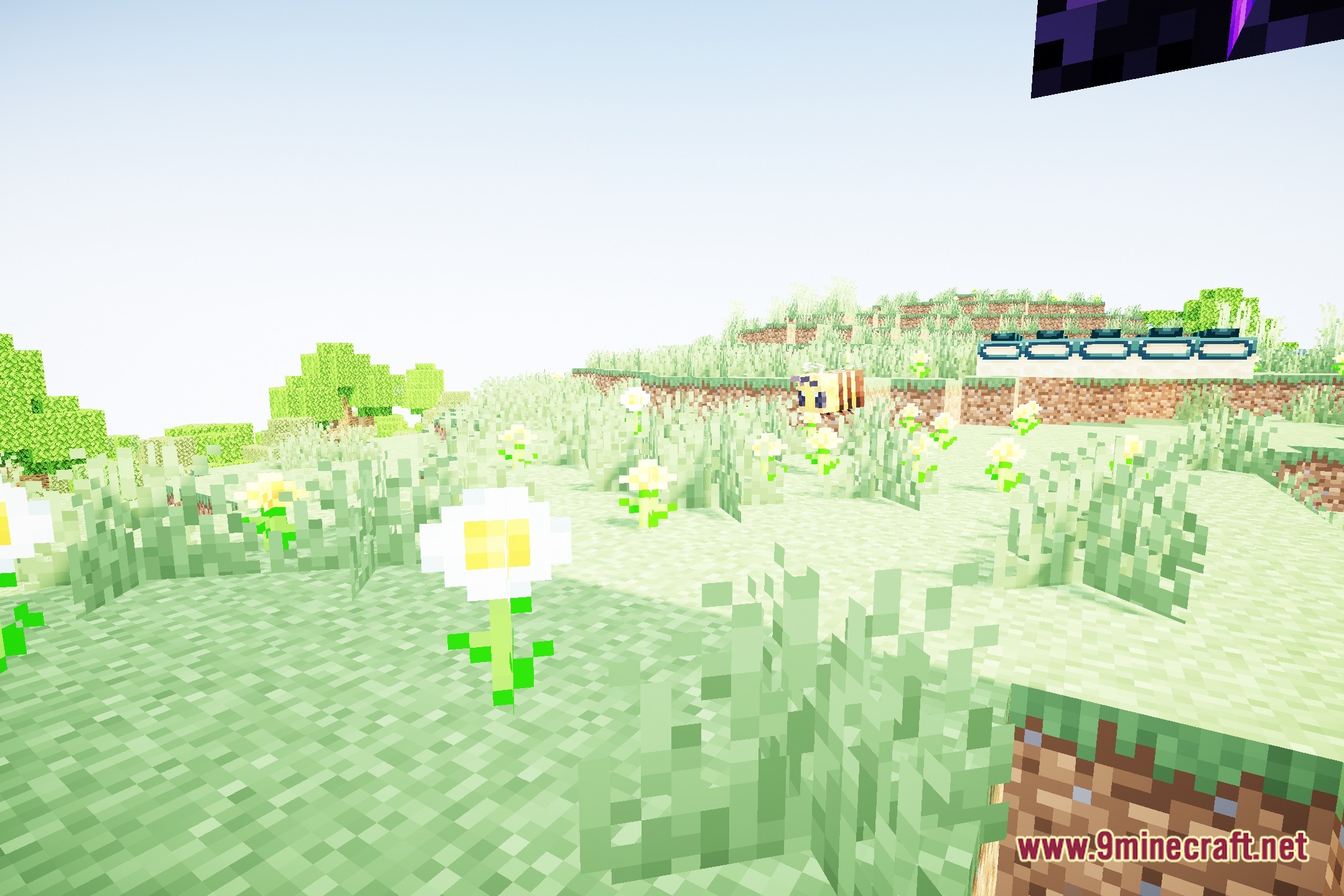 HighFramesExtra Shaders Screenshot 5