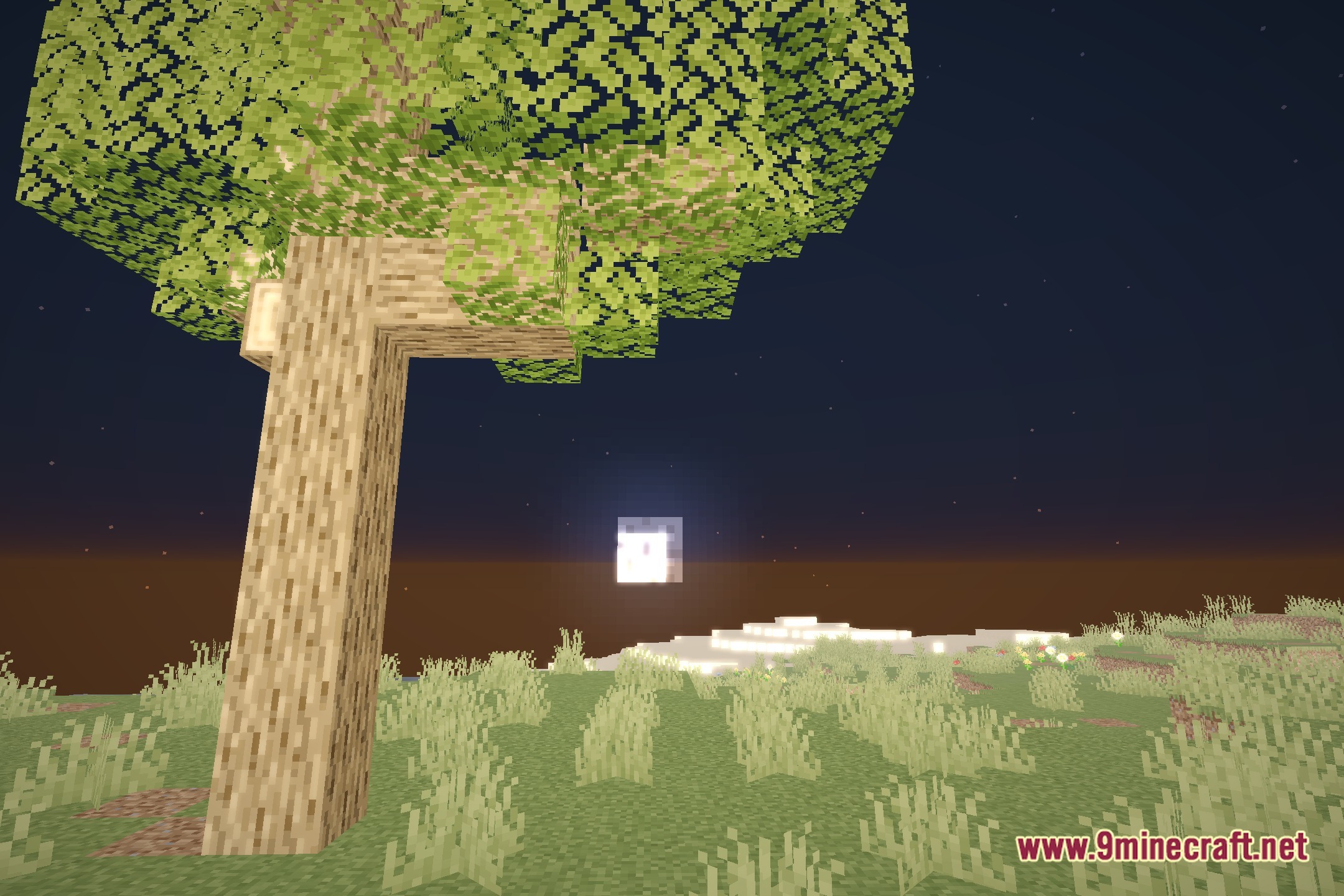 HolexShader Reimaged Shaders Screenshot 4