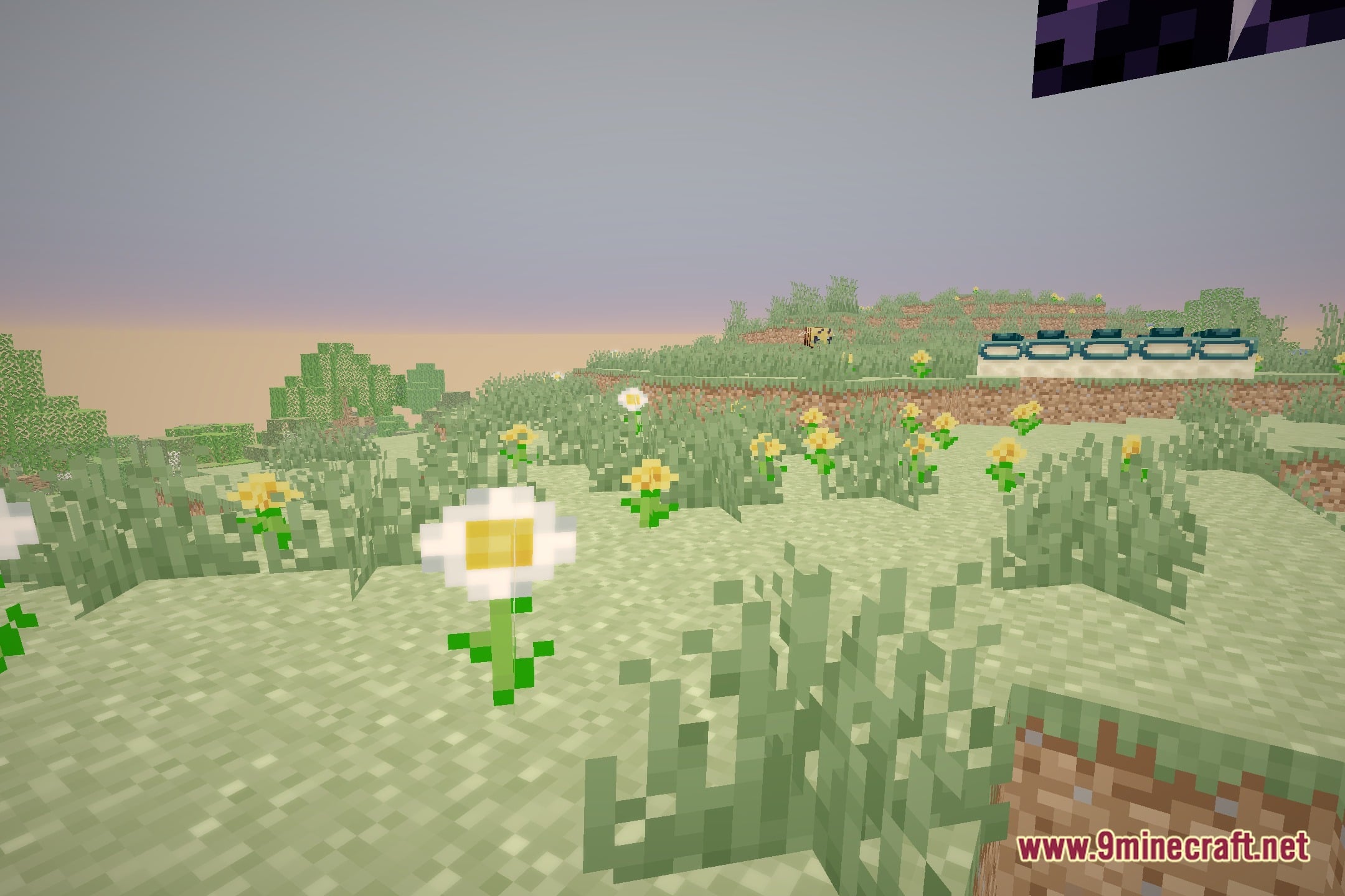 HolexShader Reimaged Shaders Screenshot 5
