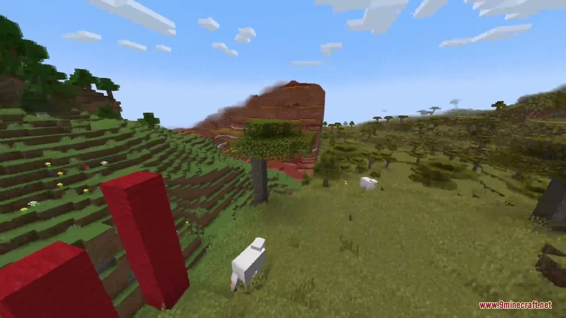 Horizon Braid Mod Screenshot 1 A scenic view of different biomes meeting seamlessly at a world border