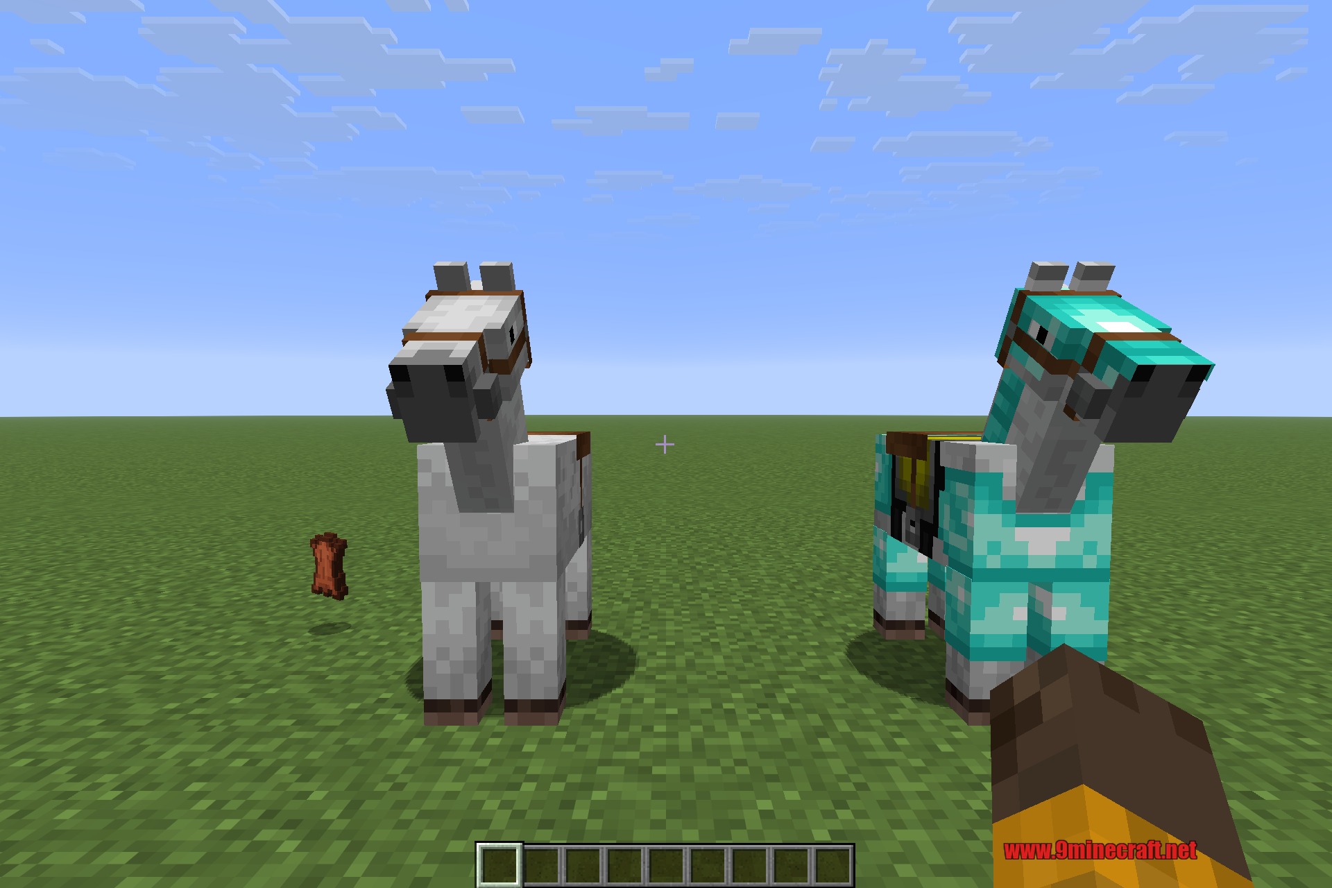An armoured horse beside an unarmoured one for comparison