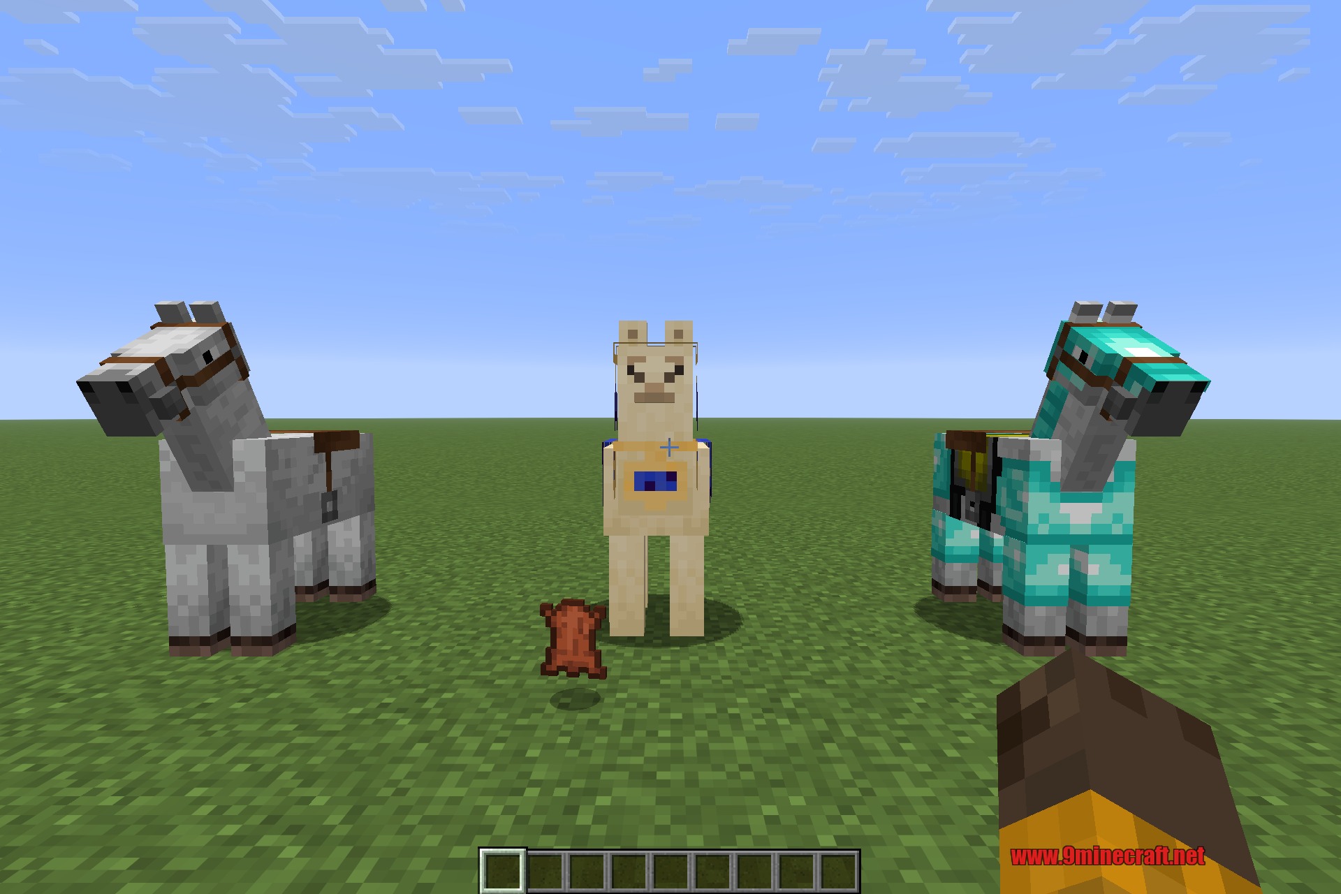 A small herd of armoured horses and a llama