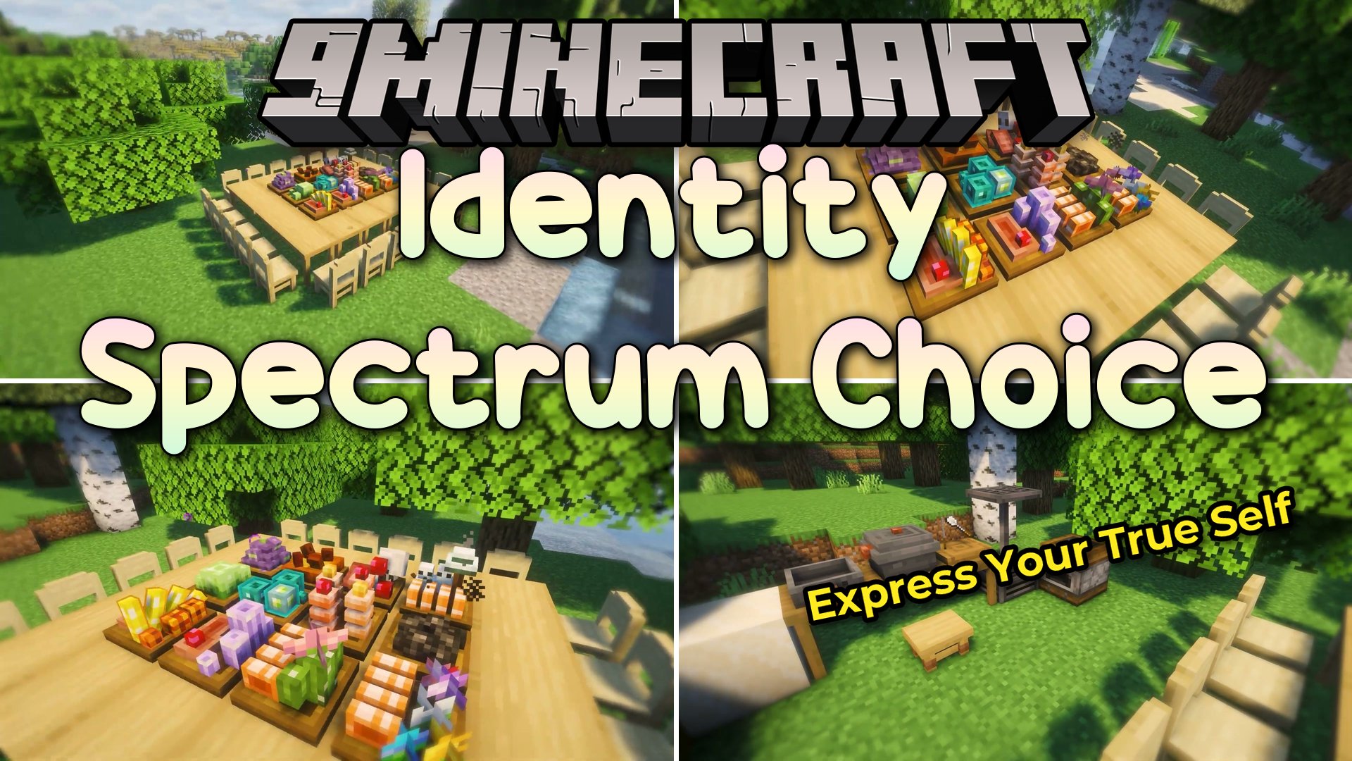 Identity Spectrum Choice Mod
