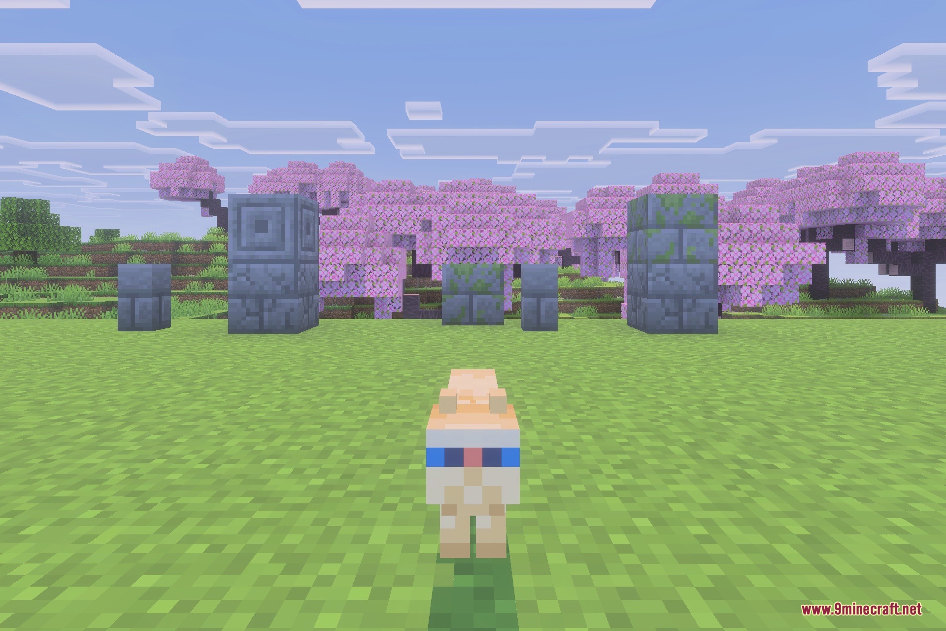 Immortal Cats Addon Screenshot 5 Immortal Cats Addon Screenshot 5