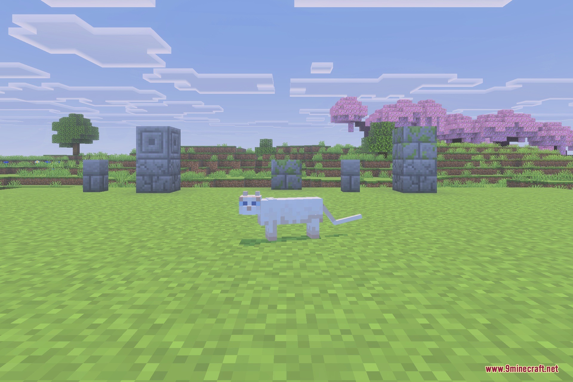 Immortal Cats Addon Screenshot 6 Immortal Cats Addon Screenshot 6