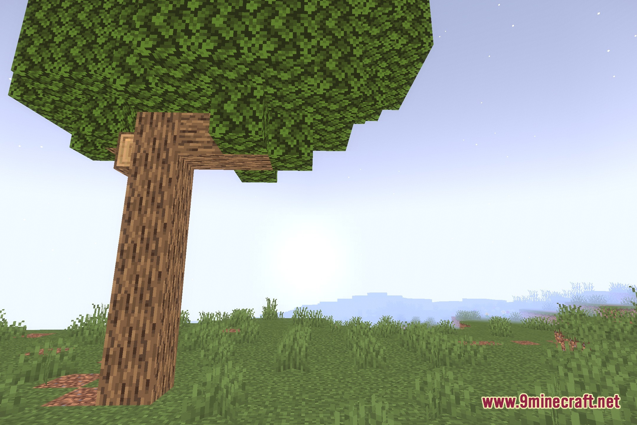 ImprovedVanillaLighting Shaders Screenshot 4