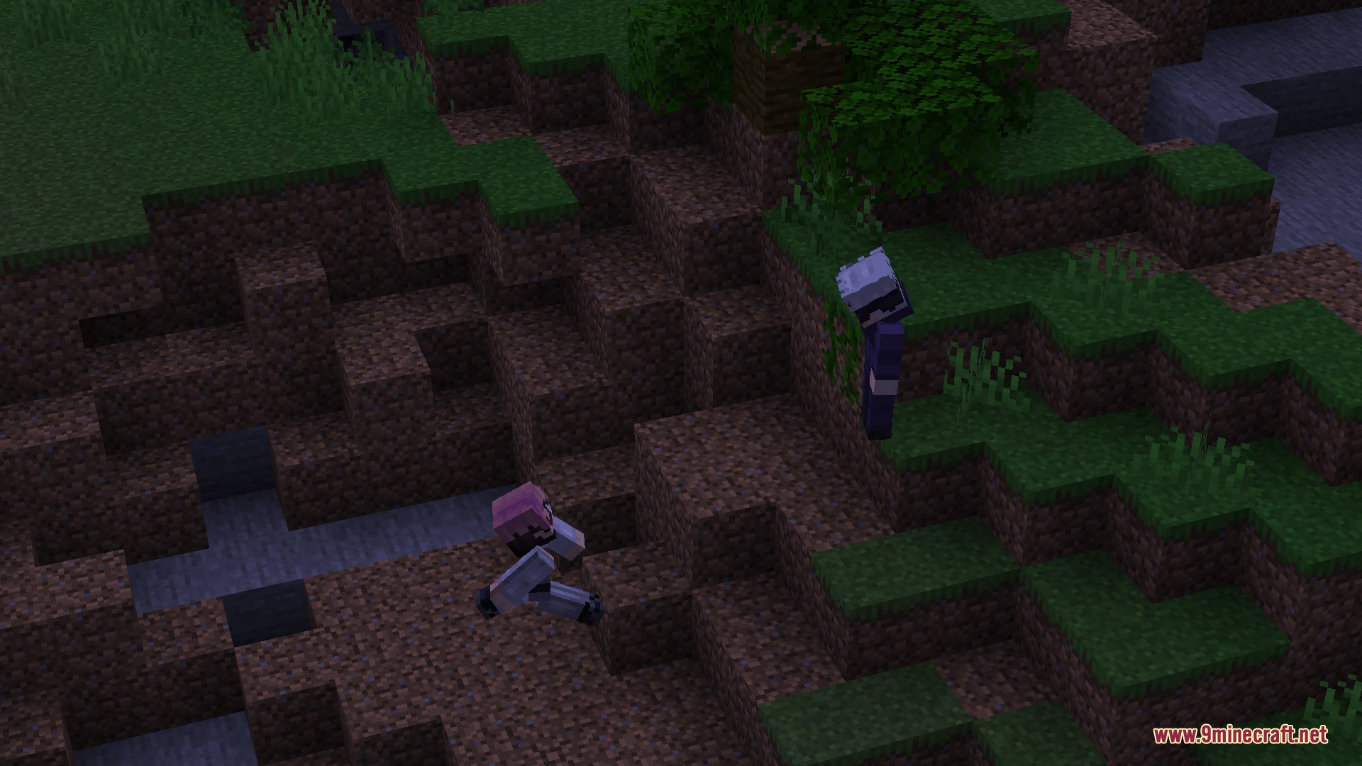 Innate Progression Mod Screenshot 3 Two players with custom anime skins standing on a dirt and grass hill