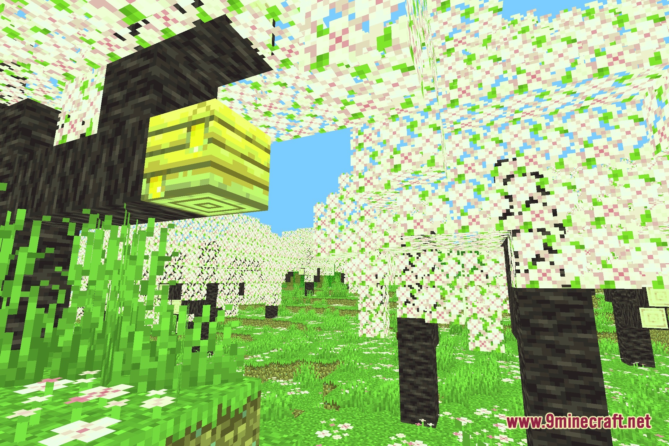 It's 25 Greener! Shaders Screenshot 1