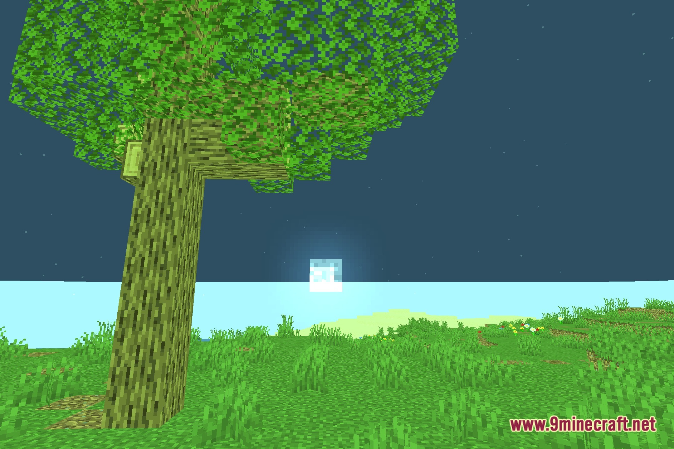 It's 25 Greener! Shaders Screenshot 4