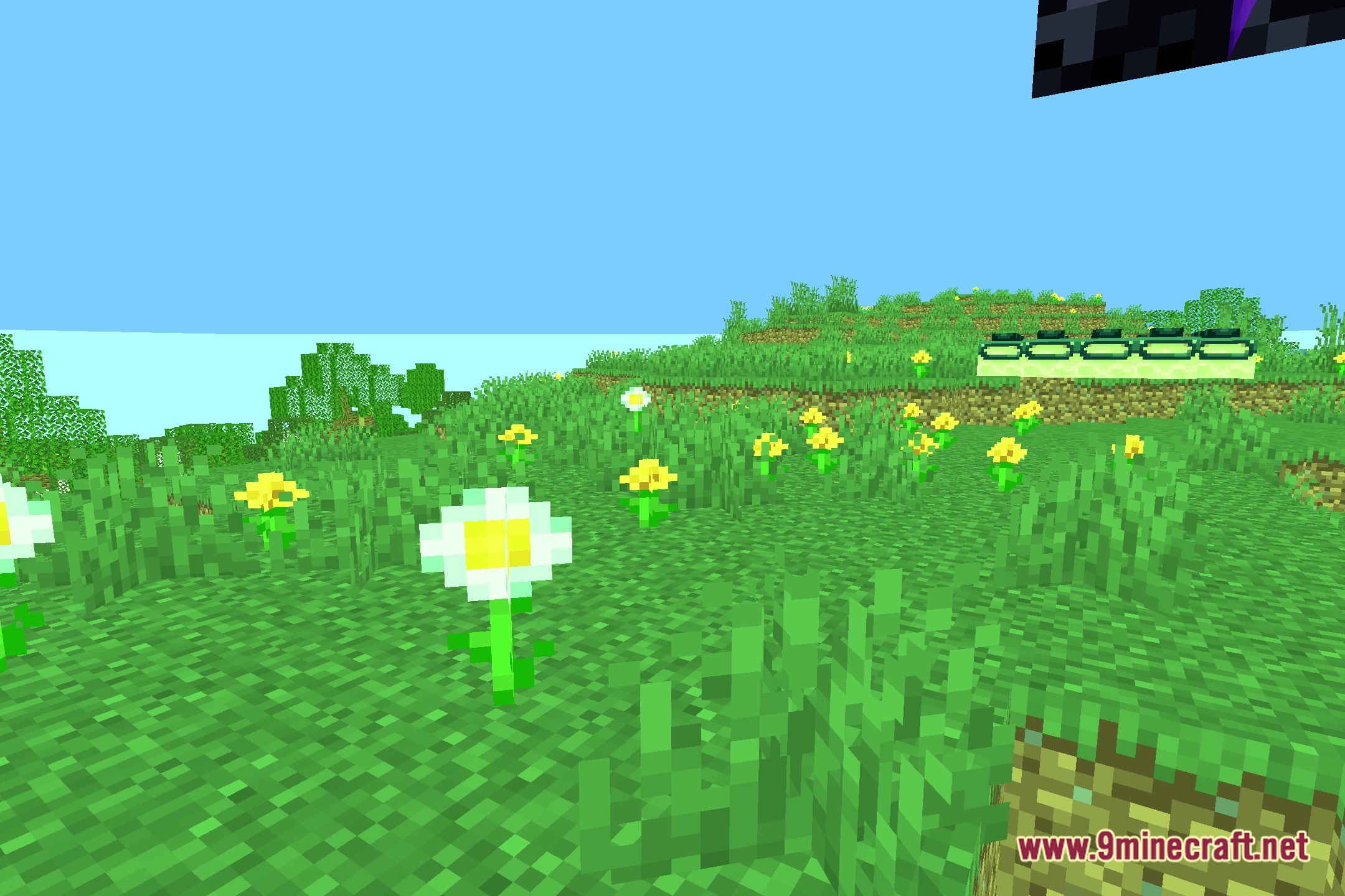 It's 25 Greener! Shaders Screenshot 5