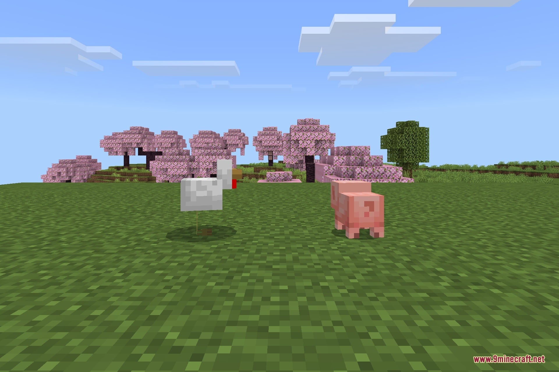 Java Hitbox Texture Pack Screenshot 5 A white chicken and a pink pig standing on grass with cherry blossom trees
