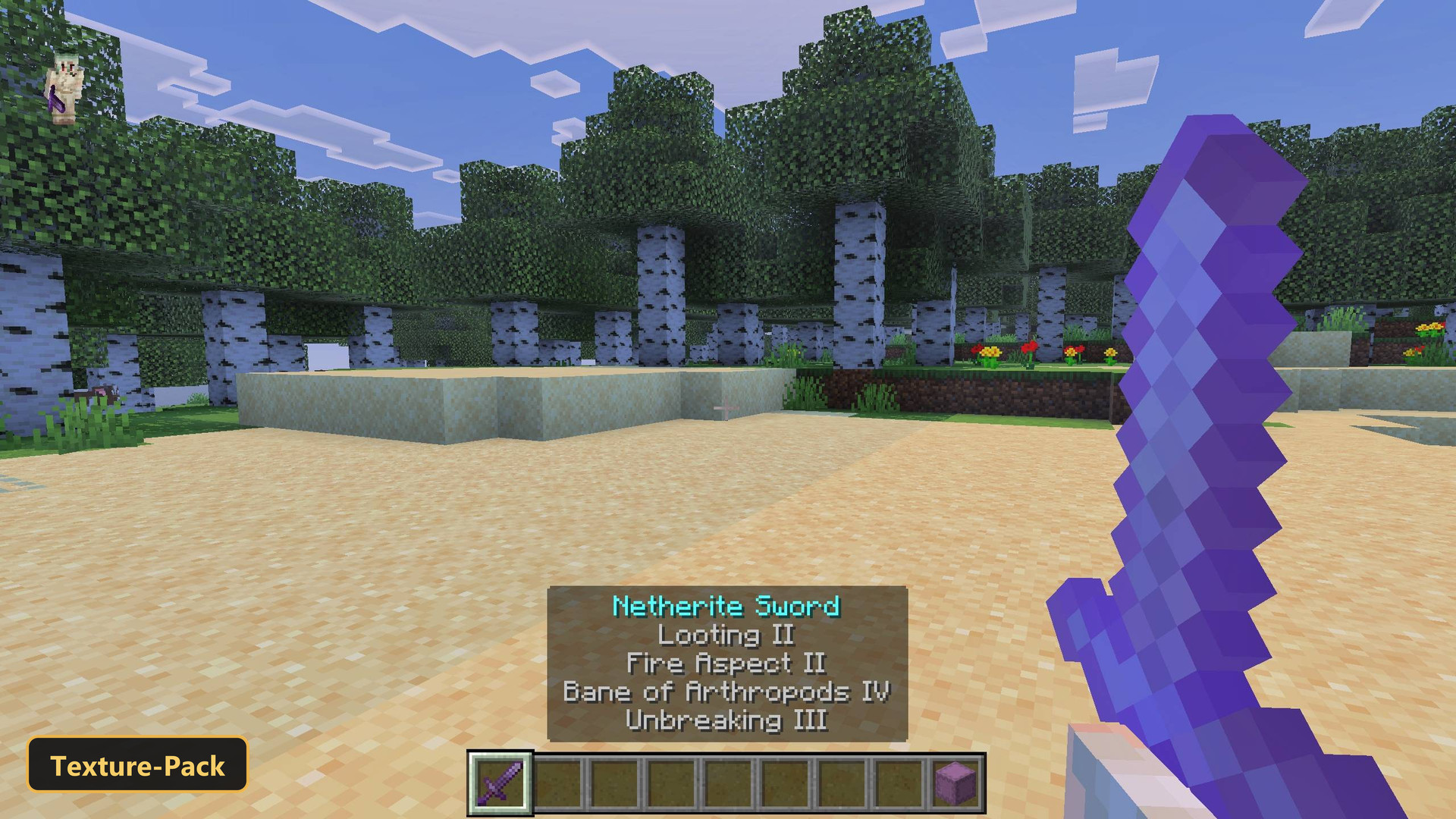 player holding a netherite sword on a sandy beach, birch forest