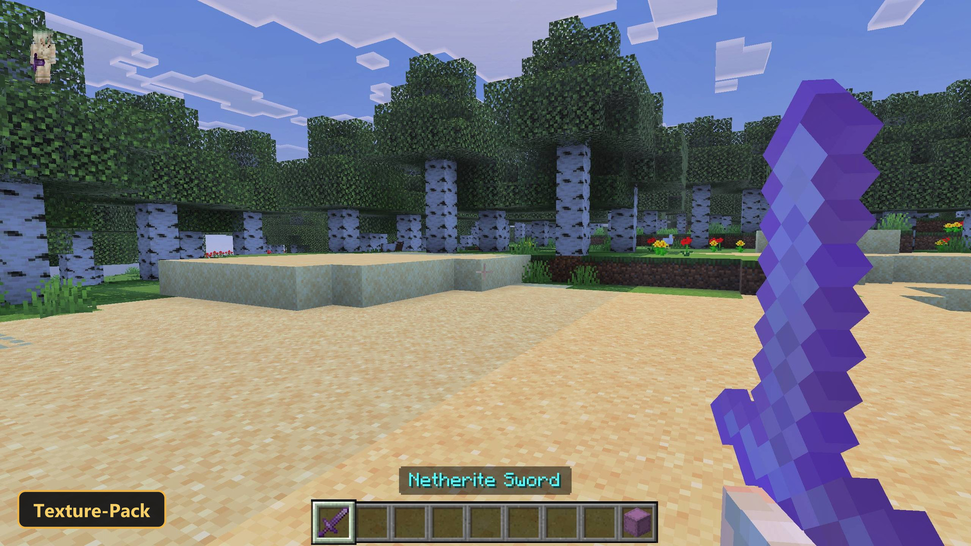 player holding a netherite sword on a sandy beach, birch forest