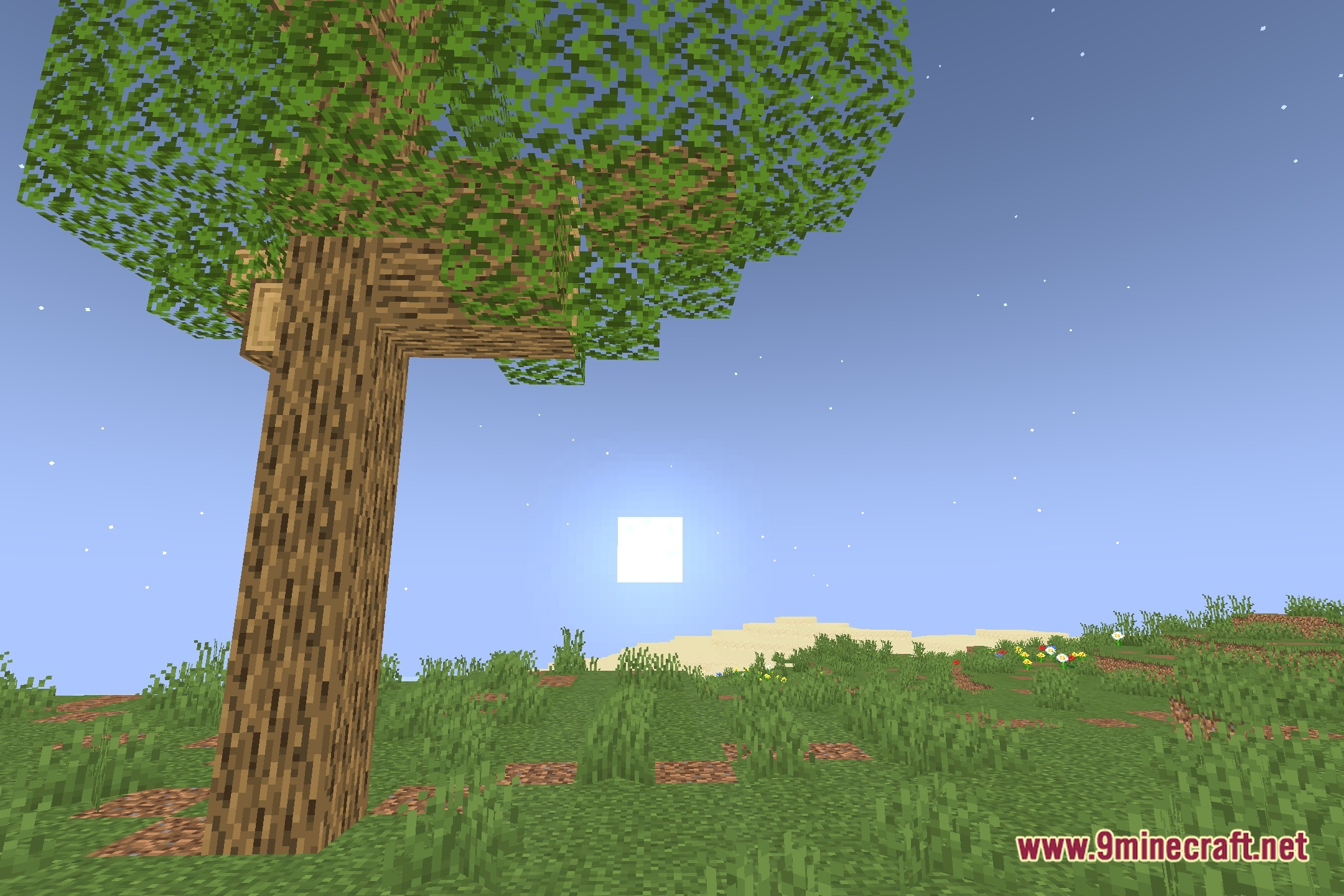 Kiwi Shaders Screenshot 4