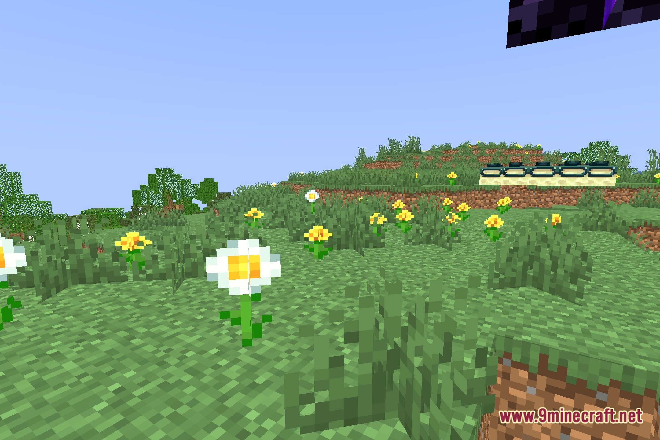Kiwi Shaders Screenshot 5