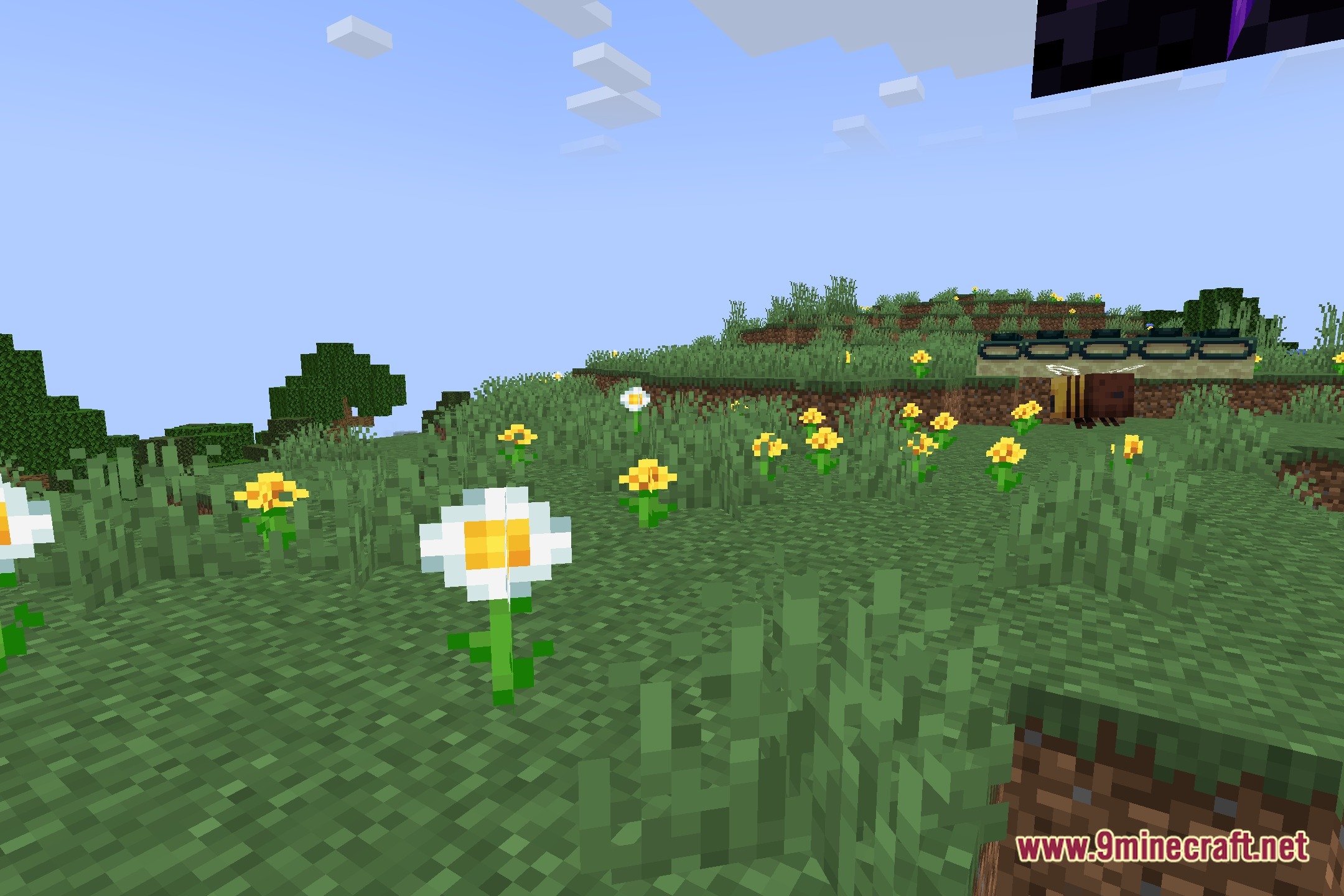 Kolor Shaders Screenshot 5