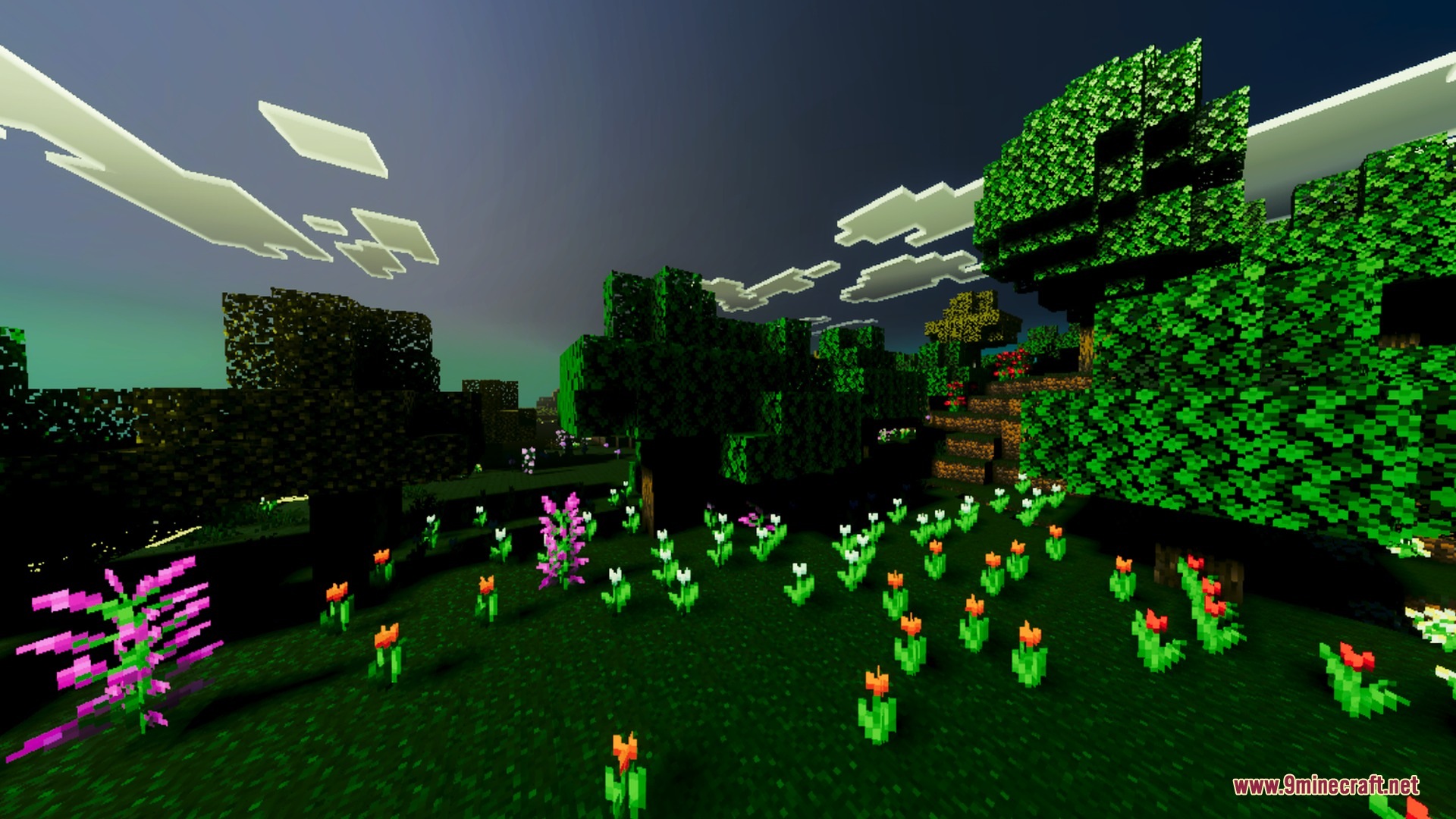 Vibrant flowers bloom in a grassy field under a dark and moody sky
