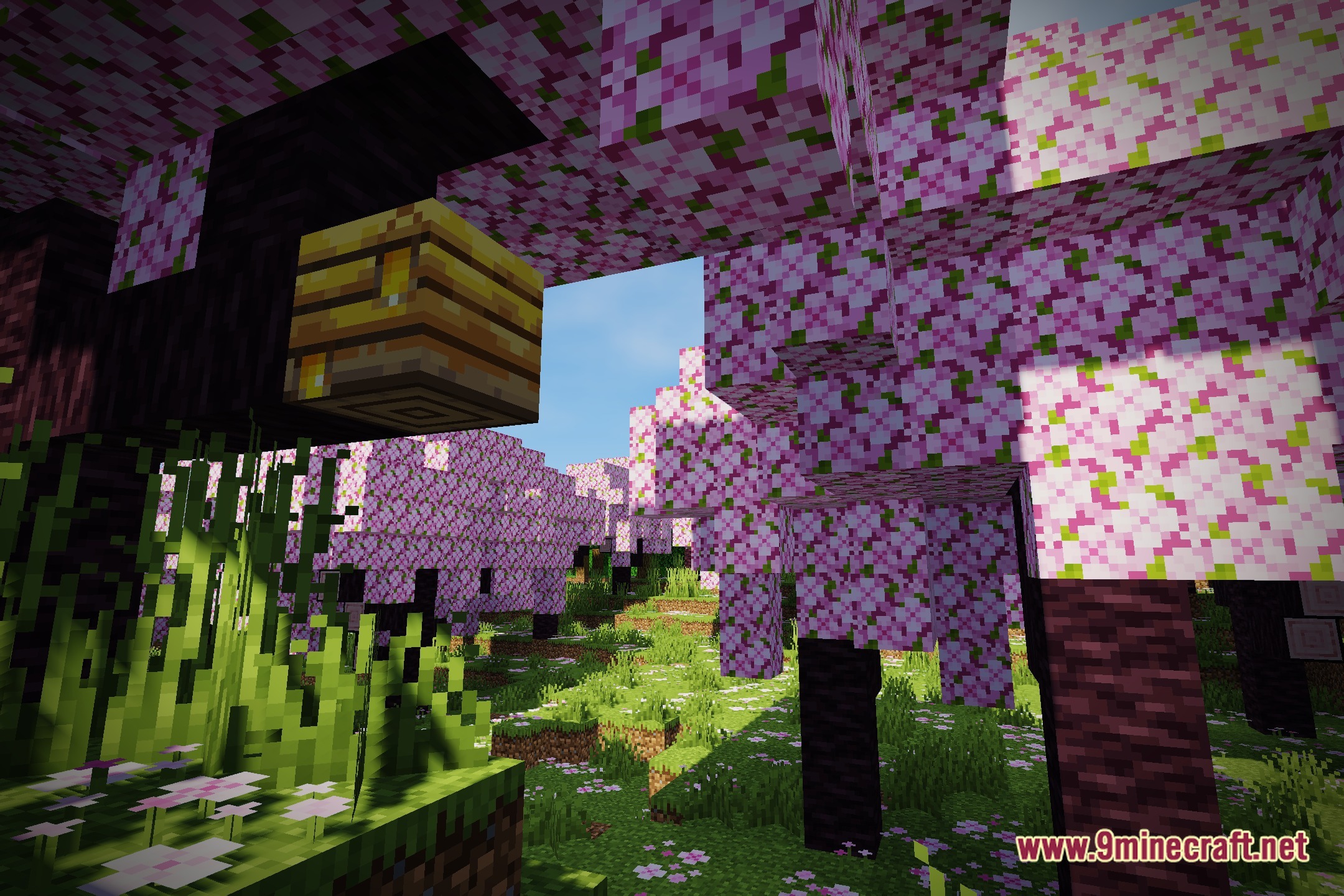 LIGHT Ray Shaders Screenshot 1