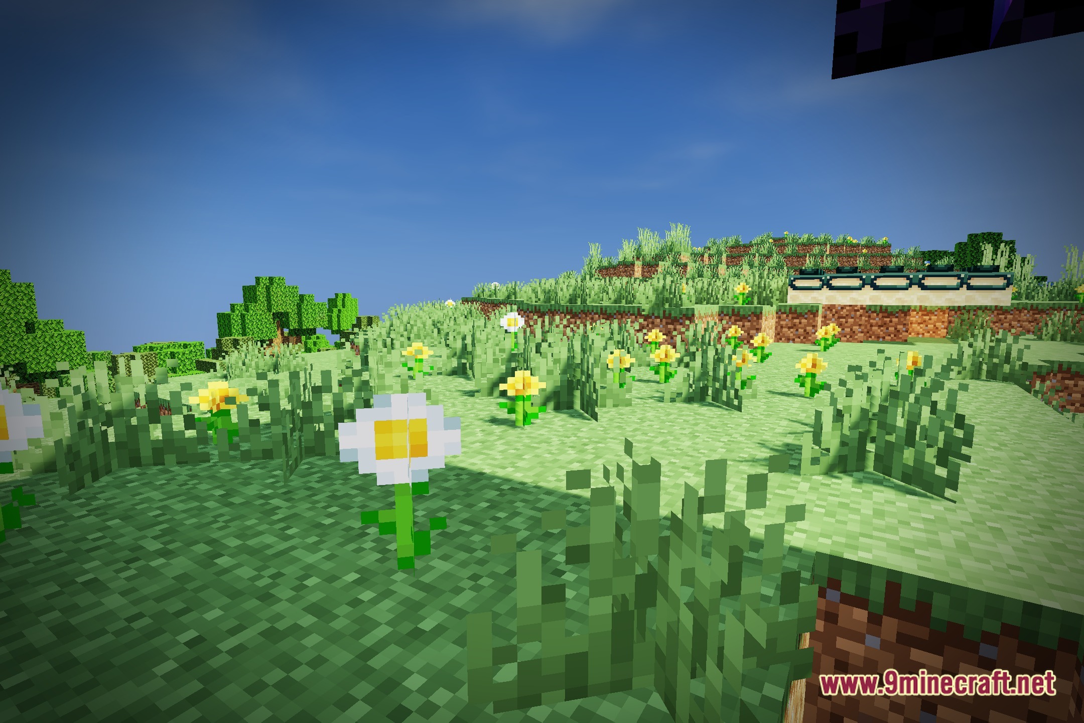 LIGHT Ray Shaders Screenshot 5