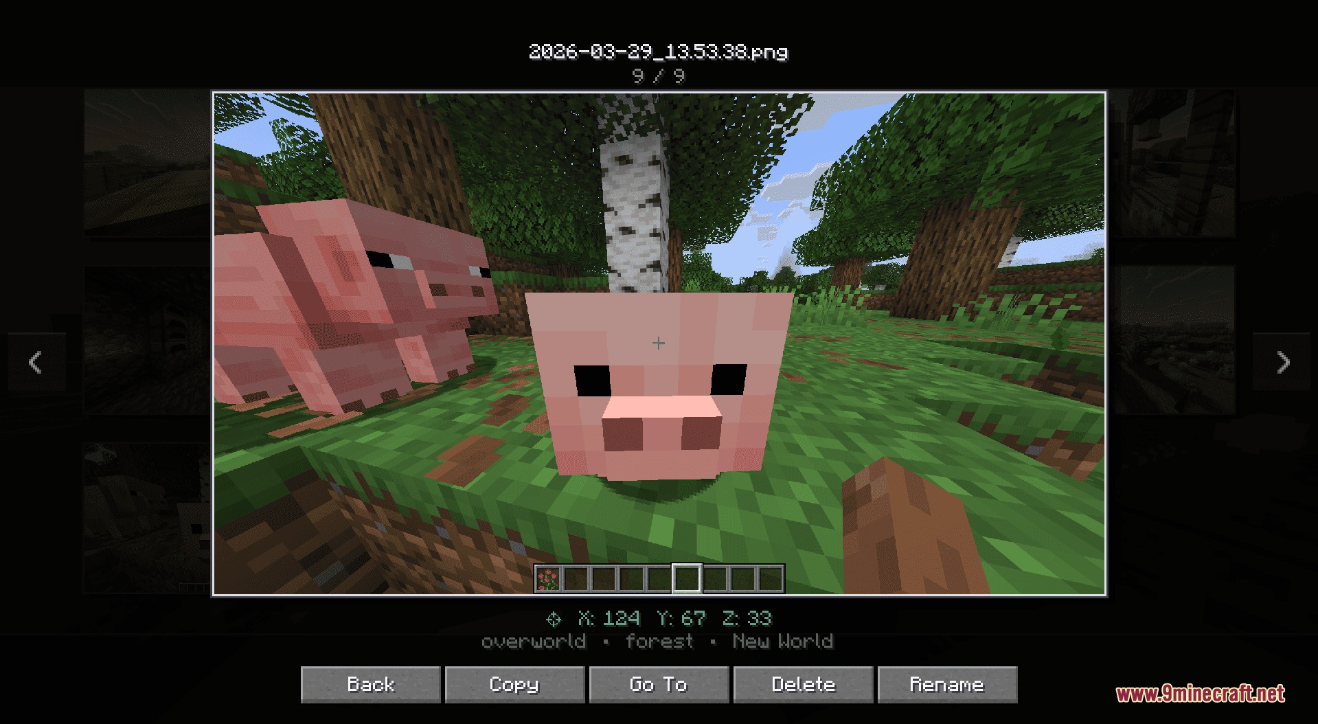 Lens Memory Explorer Mod Screenshot 2 A pig screenshot viewed in fullscreen with options to manage the image file