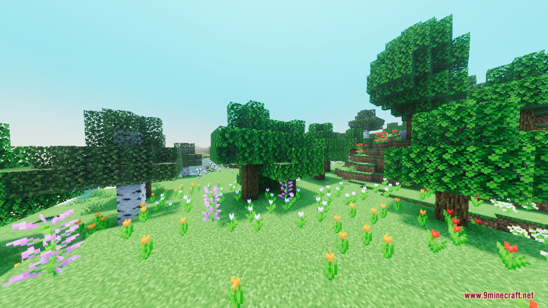 Vibrant forest biome with colorful flowers and lush trees in bright daylight