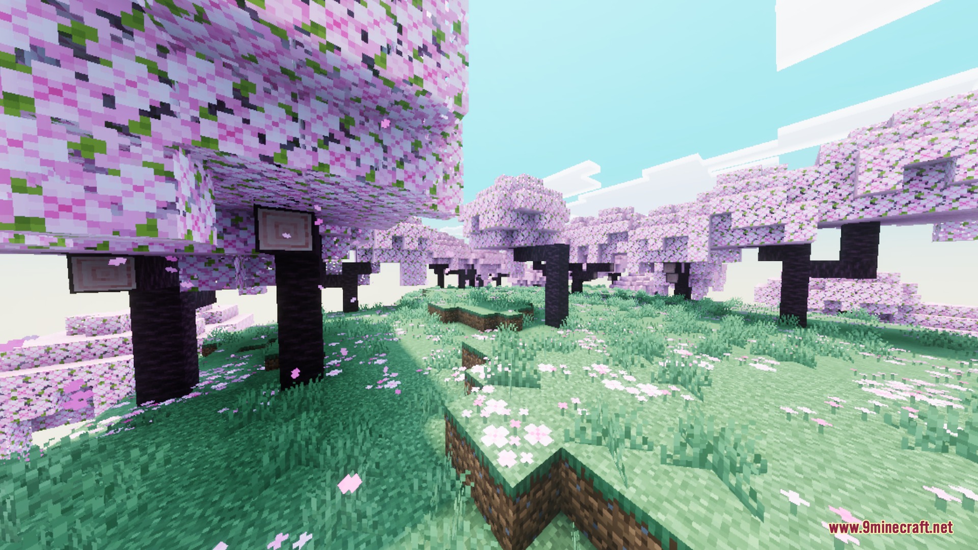 Vibrant cherry blossom forest with pink trees and bright cinematic sky lighting